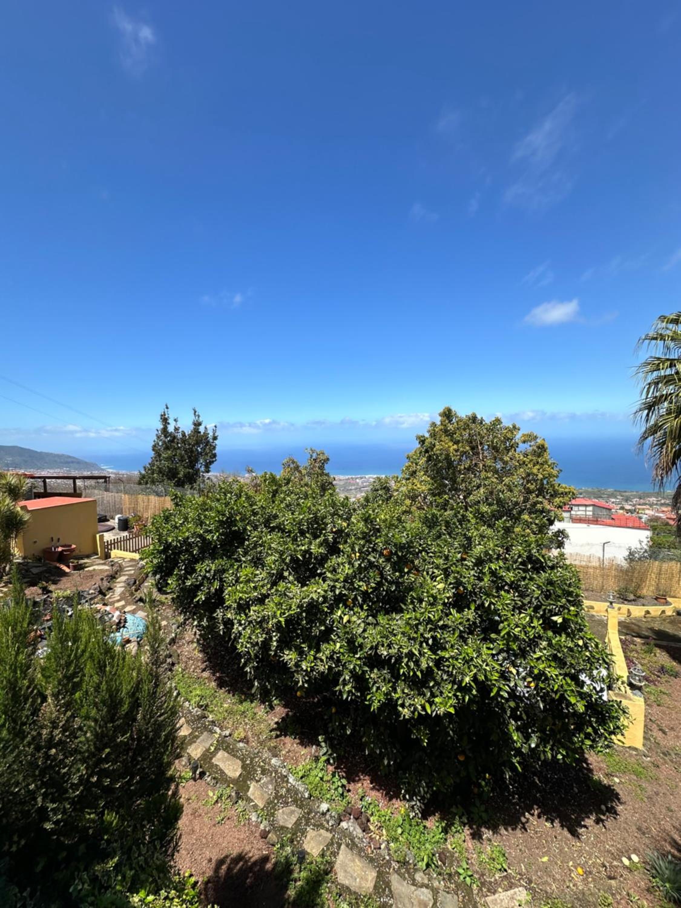Finca Casa los Dragos