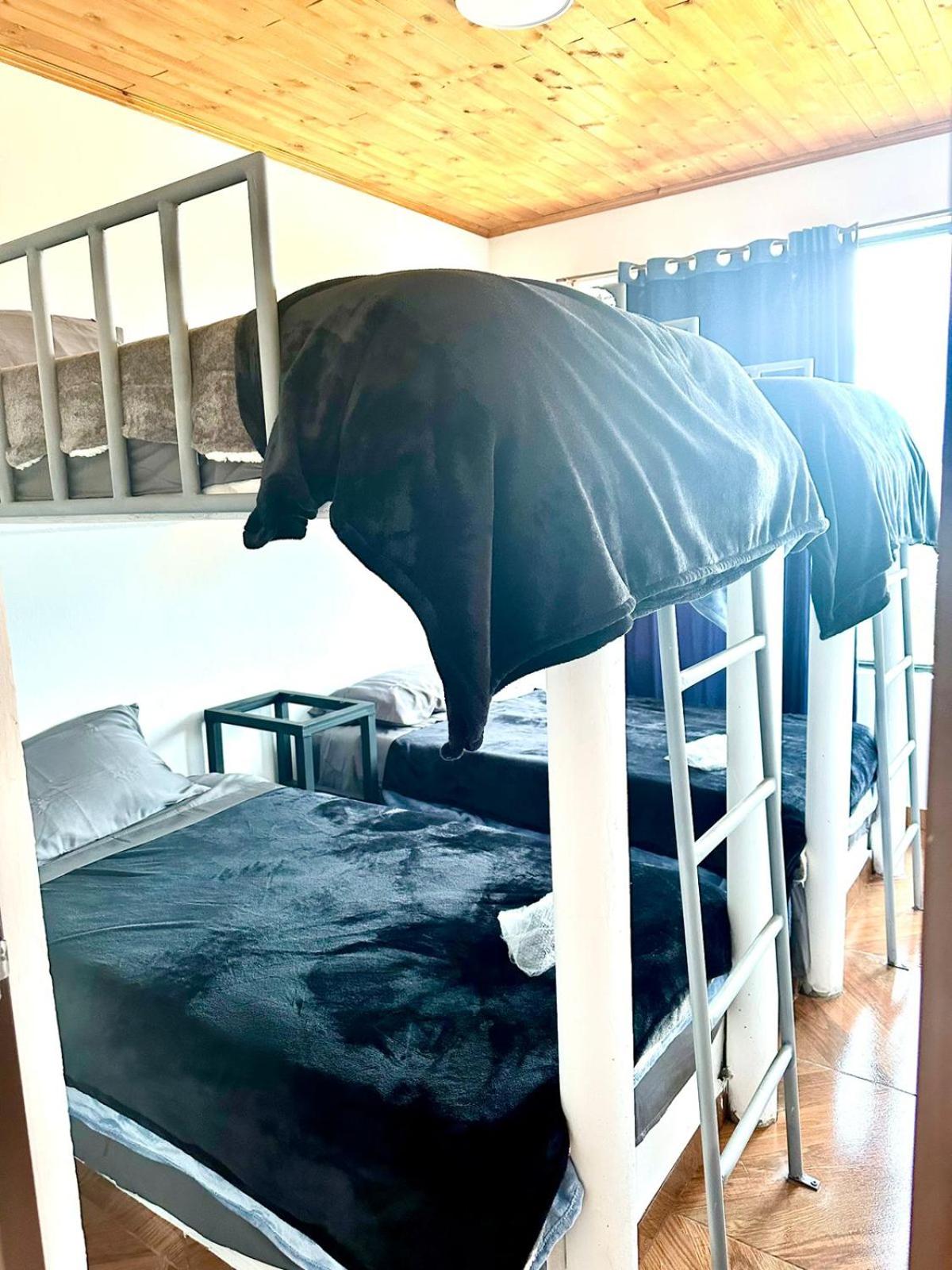 Finca Siberia, Sisga - Property Image 17