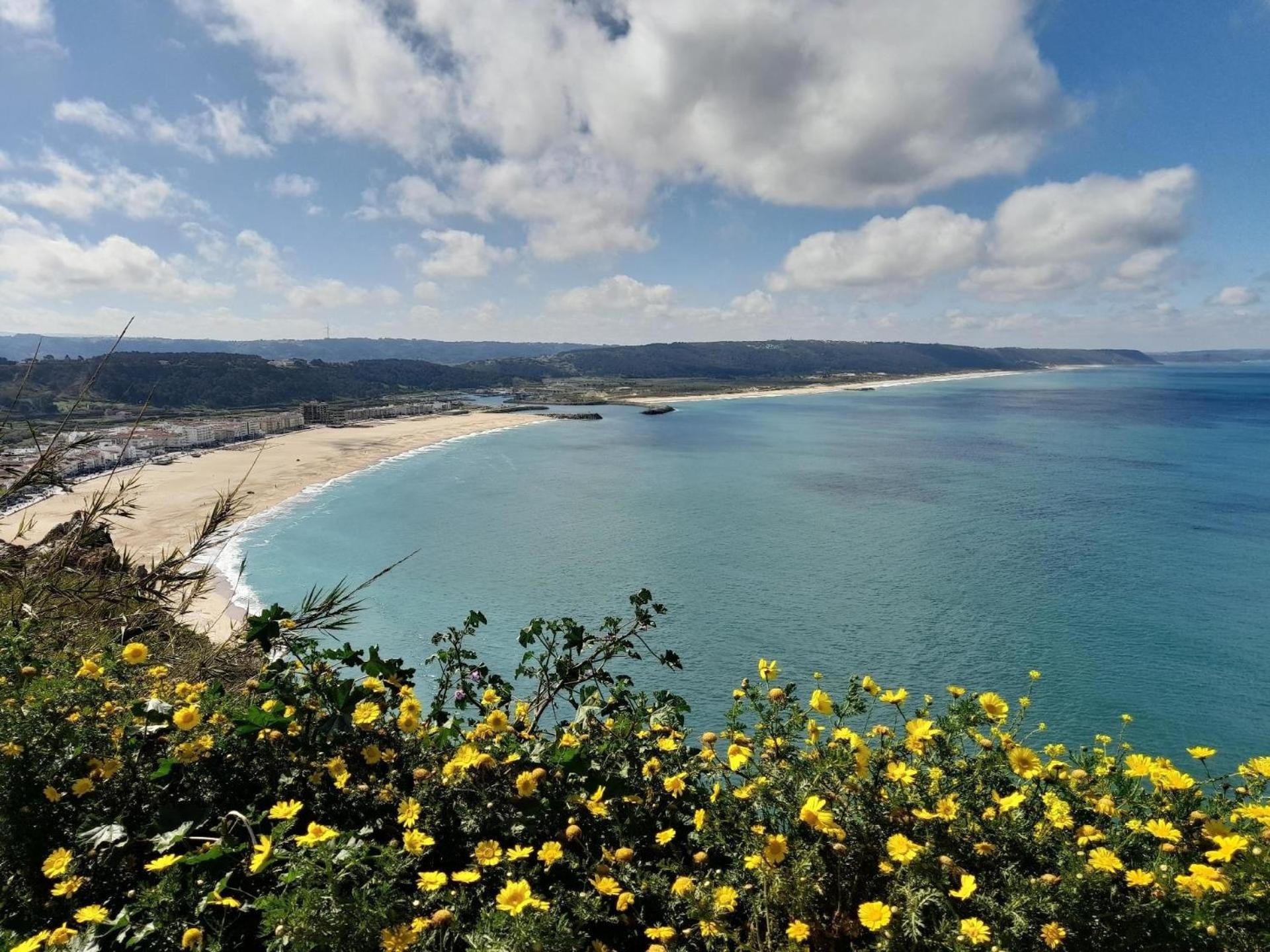 Ferienhaus mit Privatpool für 6 Personen ca 150 qm in Sao Martinho do Porto, Regio Centro view 2