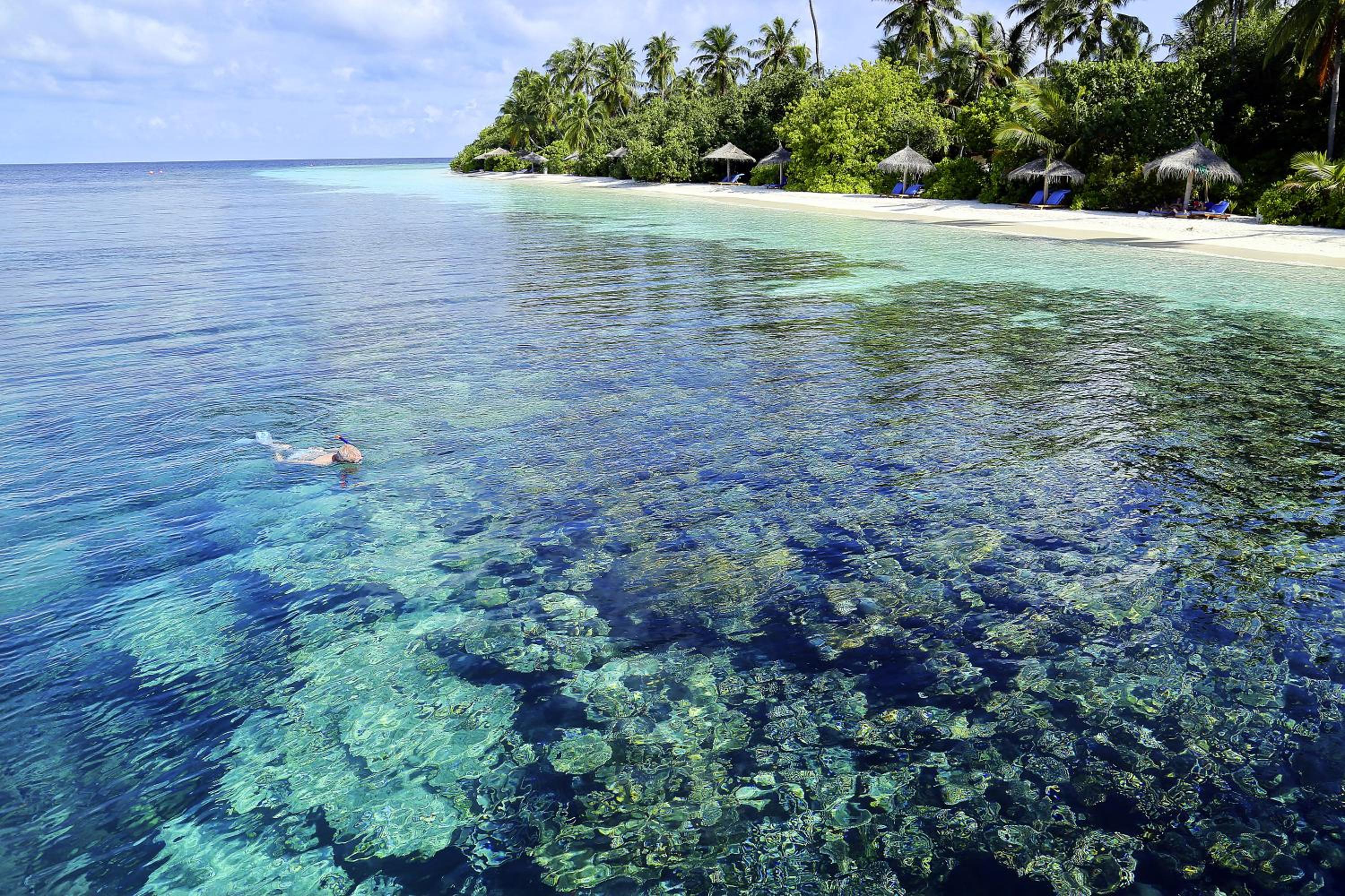 ROBINSON MALDIVES - Adults only photo 4