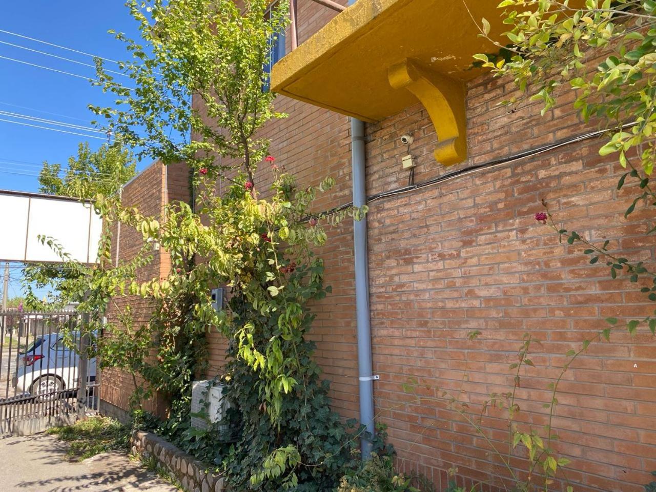 Hostal Radal Molina, photo 23
