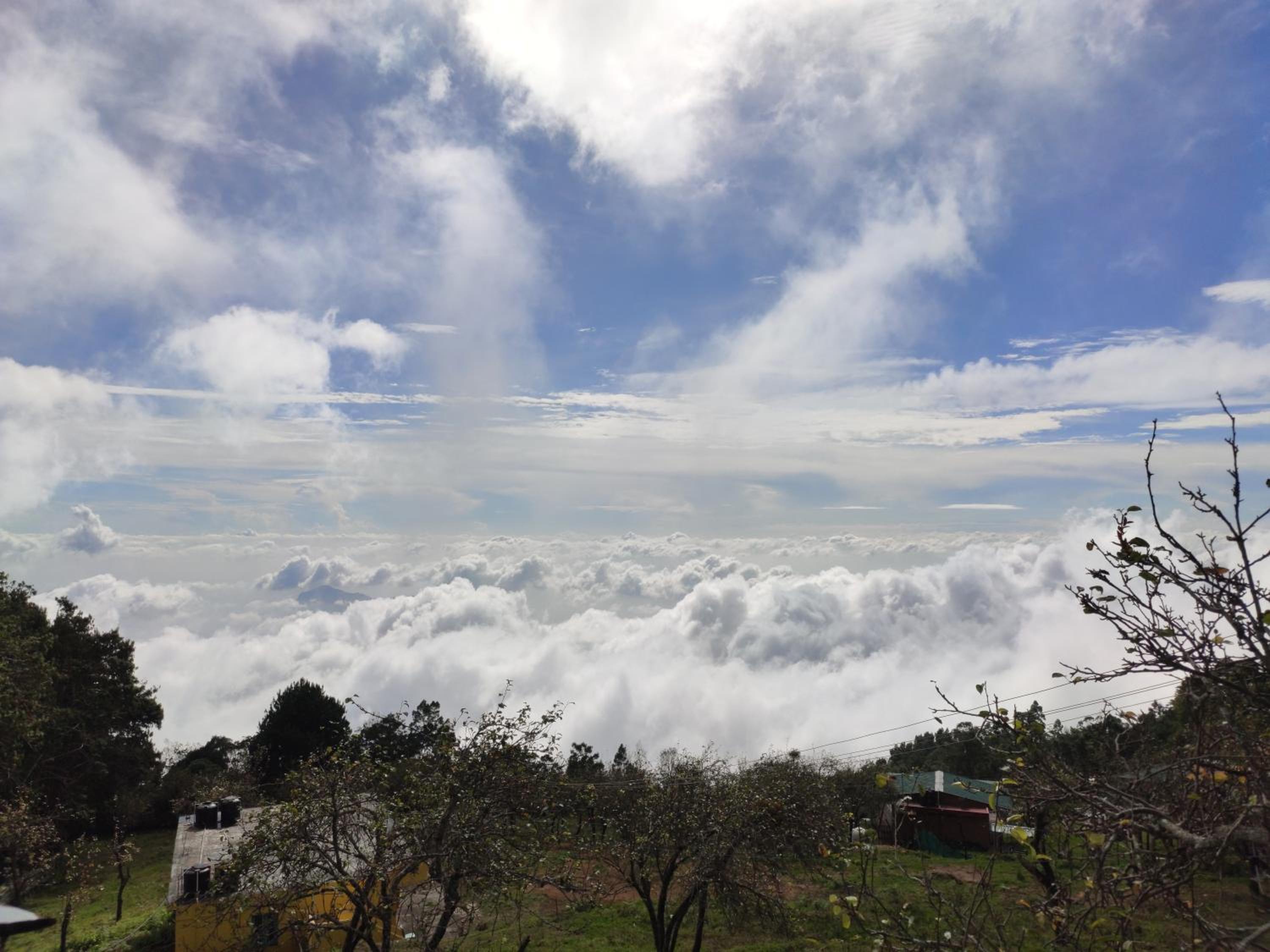 Praveen Woodhouse and Homestay Kodaikanal Vattakanal