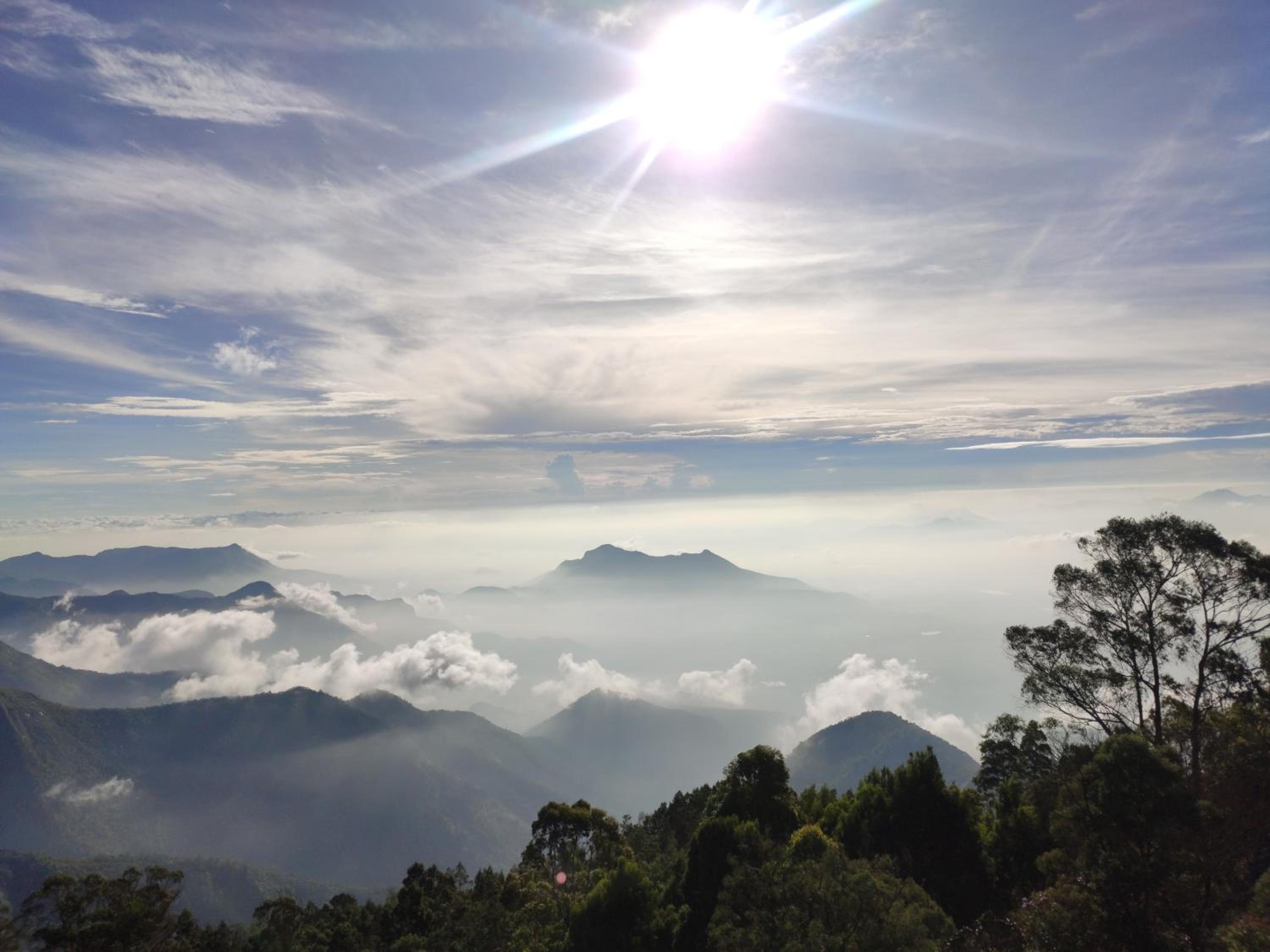 Praveen Woodhouse and Homestay Kodaikanal Vattakanal