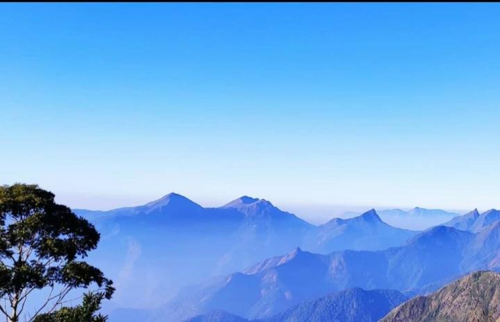 Praveen Woodhouse and Homestay Kodaikanal Vattakanal