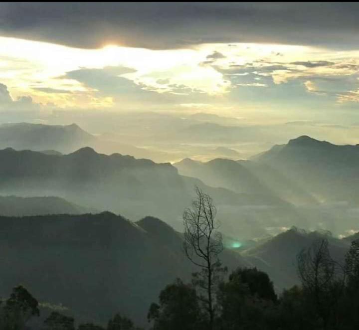 Praveen Woodhouse and Homestay Kodaikanal Vattakanal