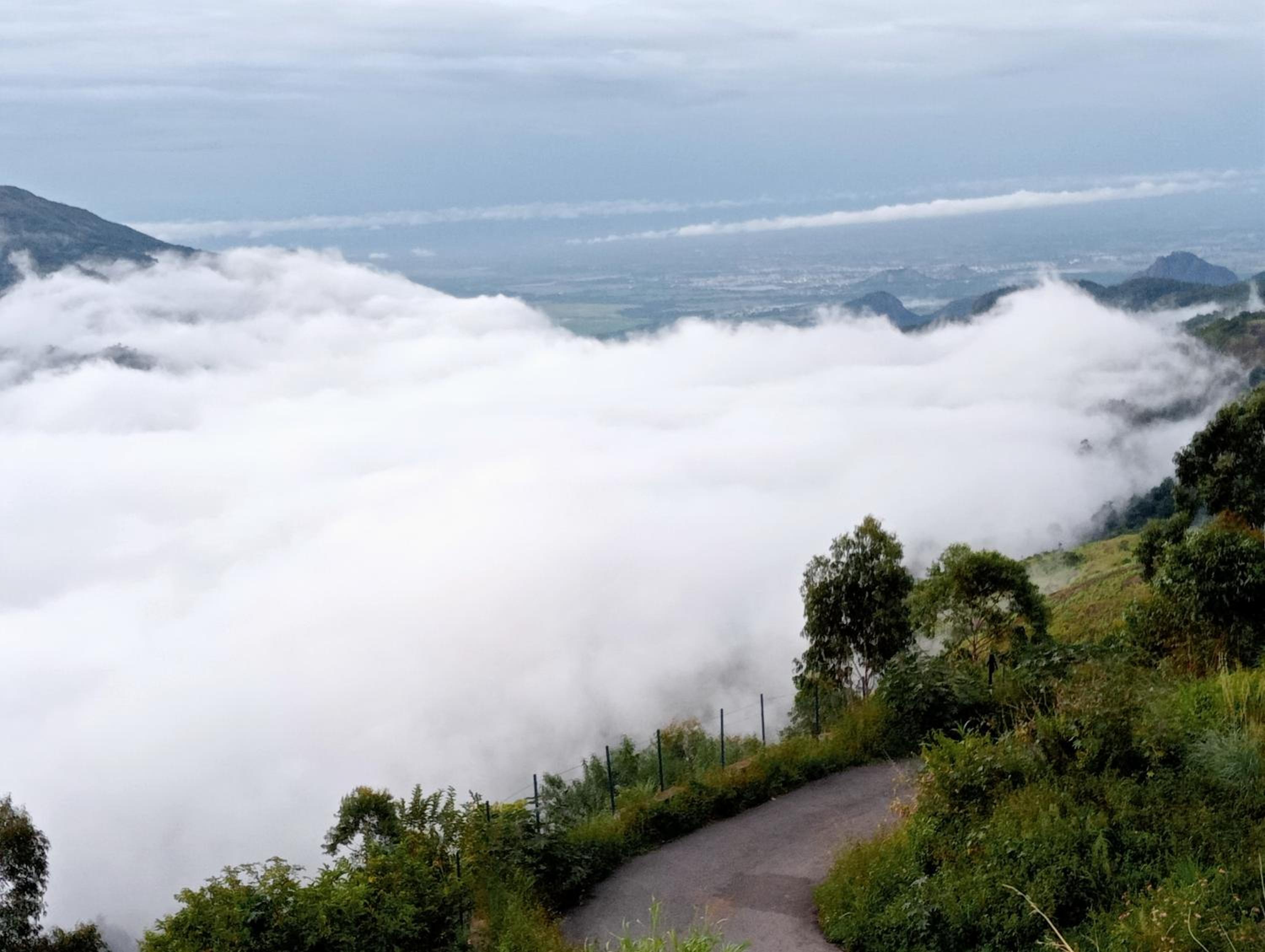 Praveen Woodhouse and Homestay Kodaikanal Vattakanal