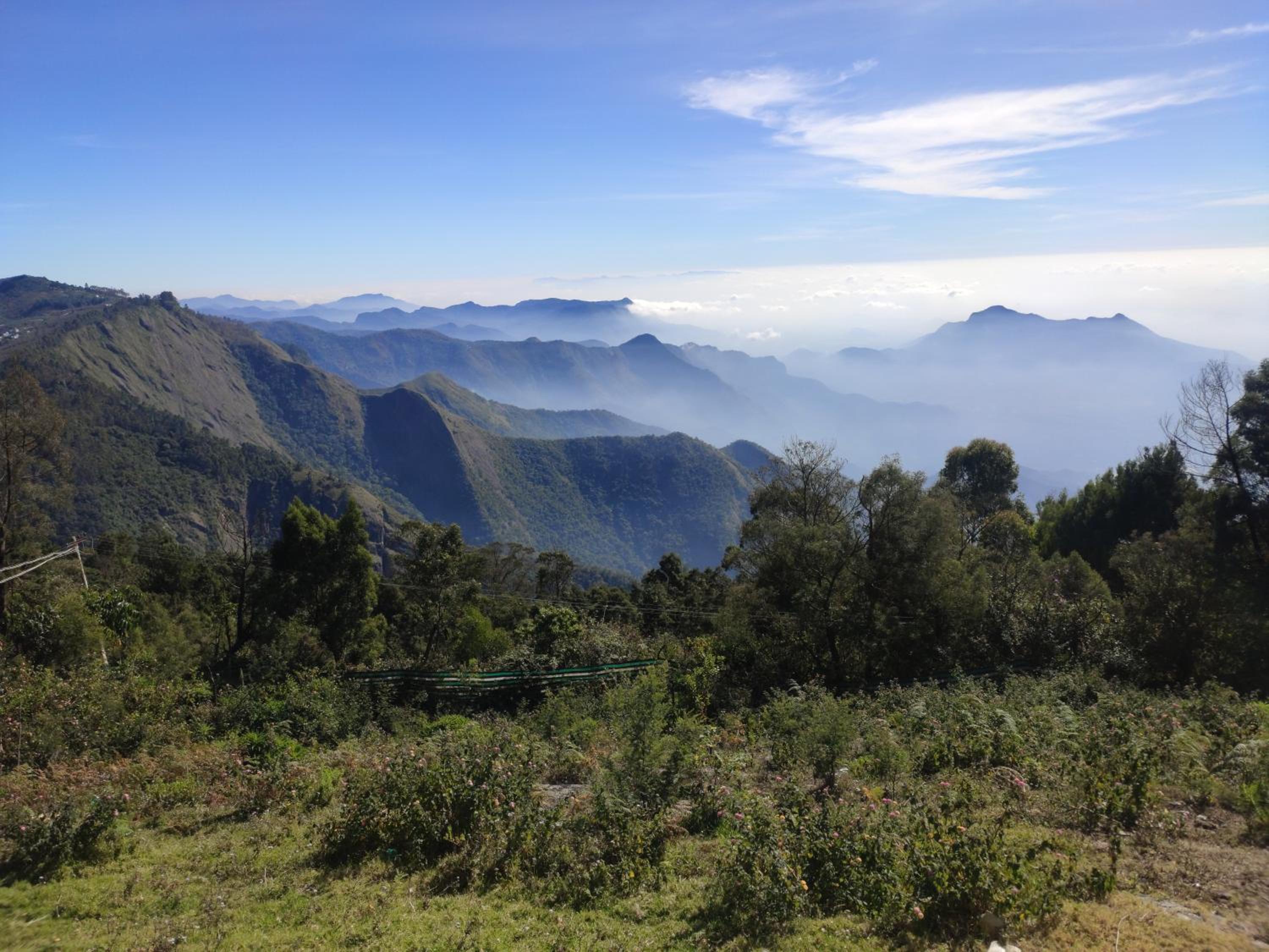 Praveen Woodhouse and Homestay Kodaikanal Vattakanal