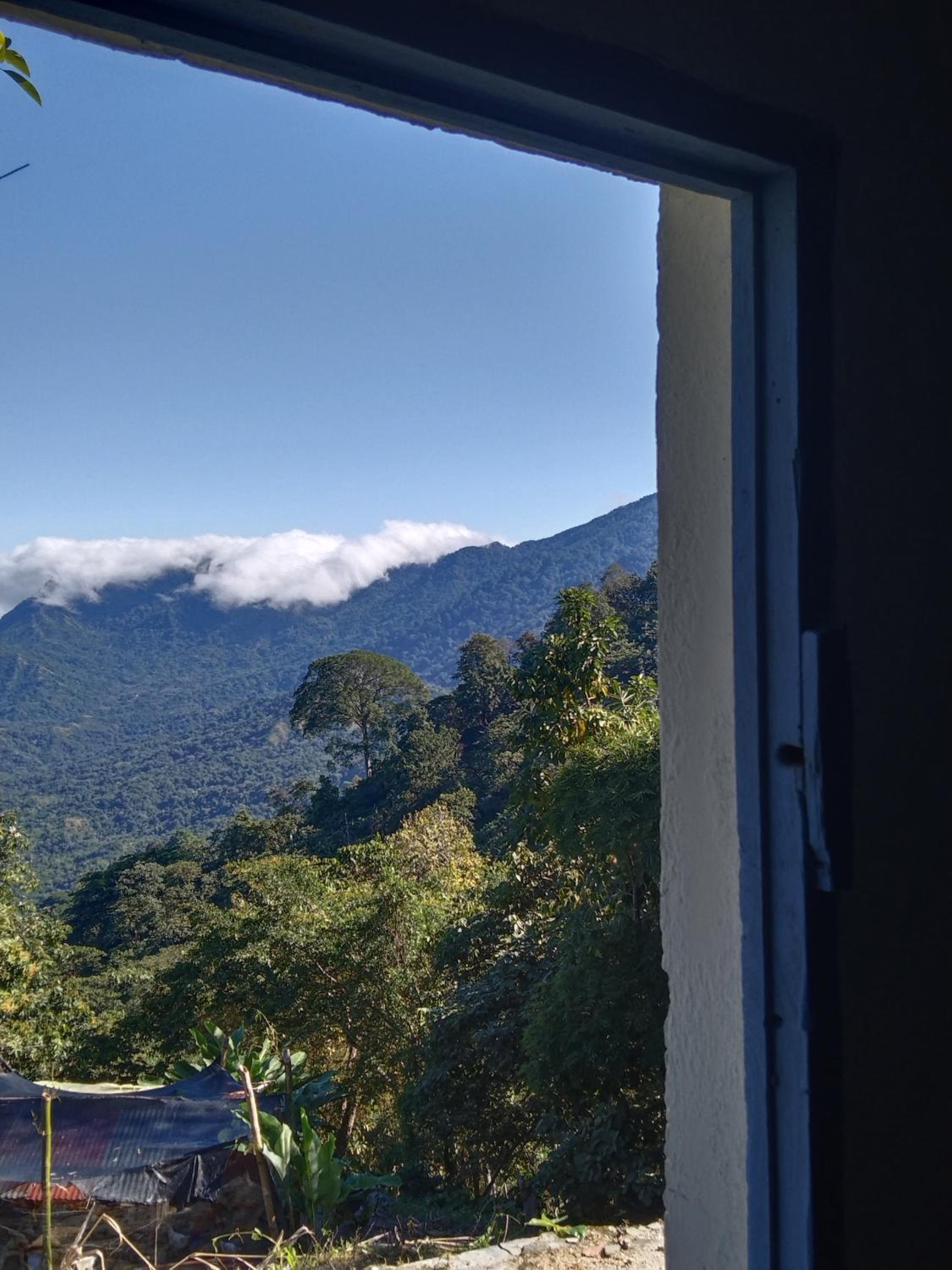 Casa Finca Cafetera La Alicia Minca
