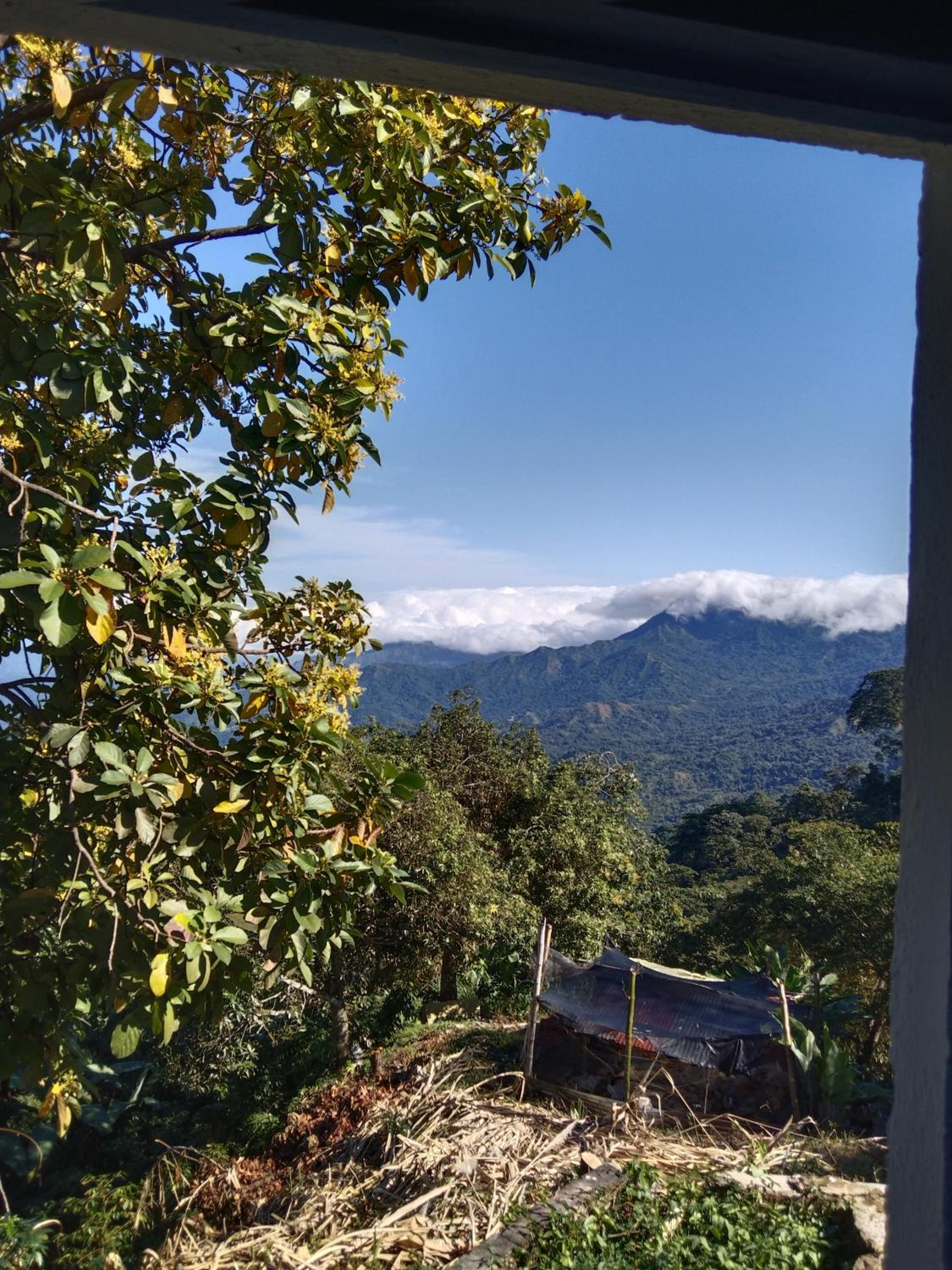 Casa Finca Cafetera La Alicia Minca