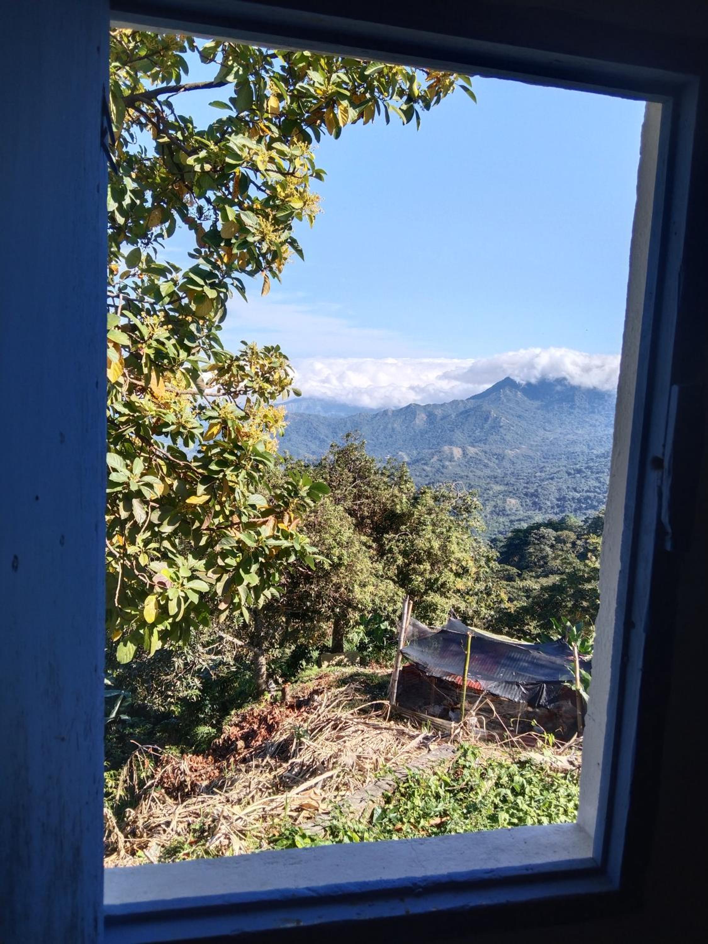 Casa Finca Cafetera La Alicia Minca