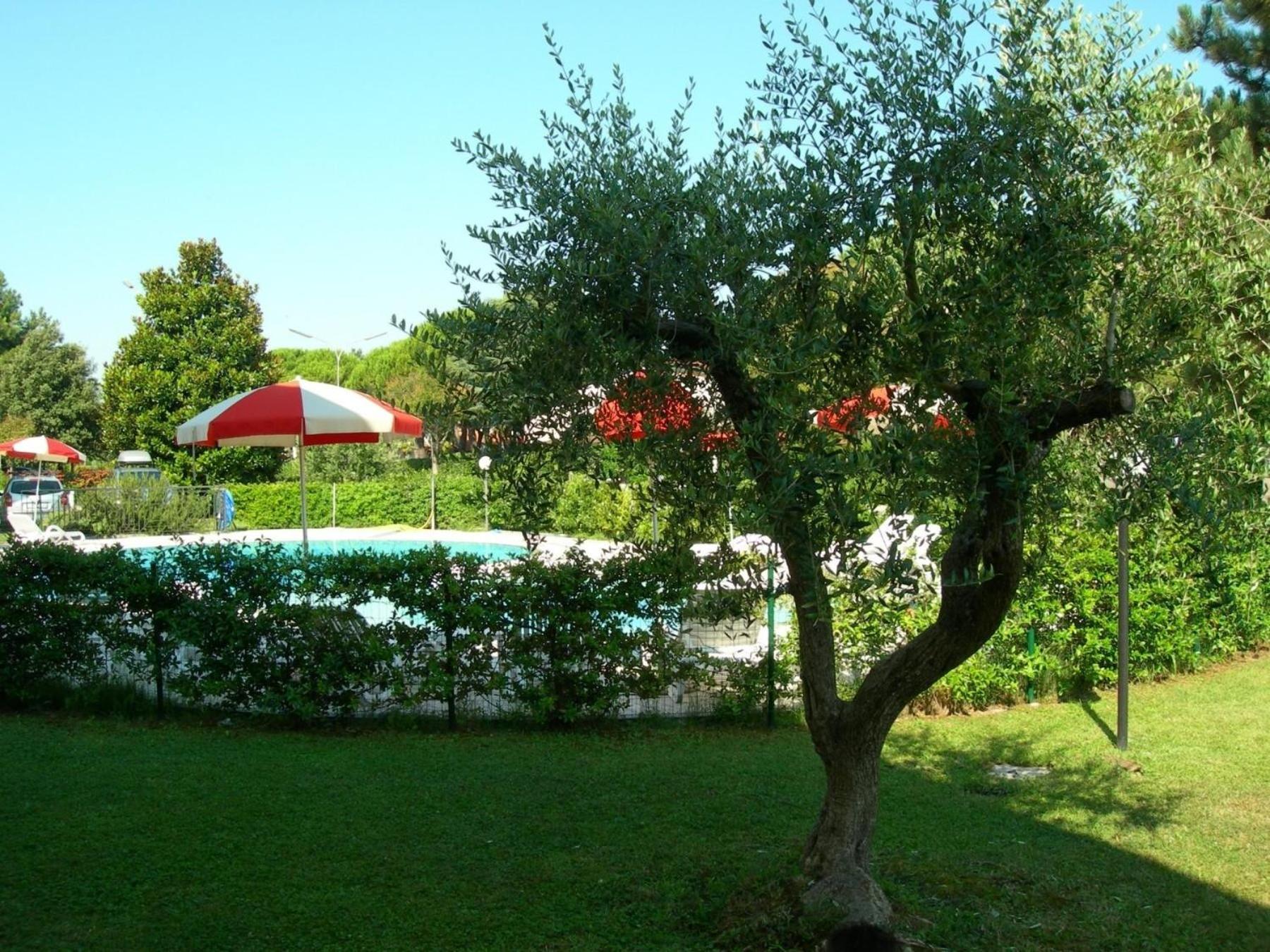 Ferienwohnung für 5 Personen ca 36 qm in Bibione, Adriaküste Italien Bibione und Umgebung view 3