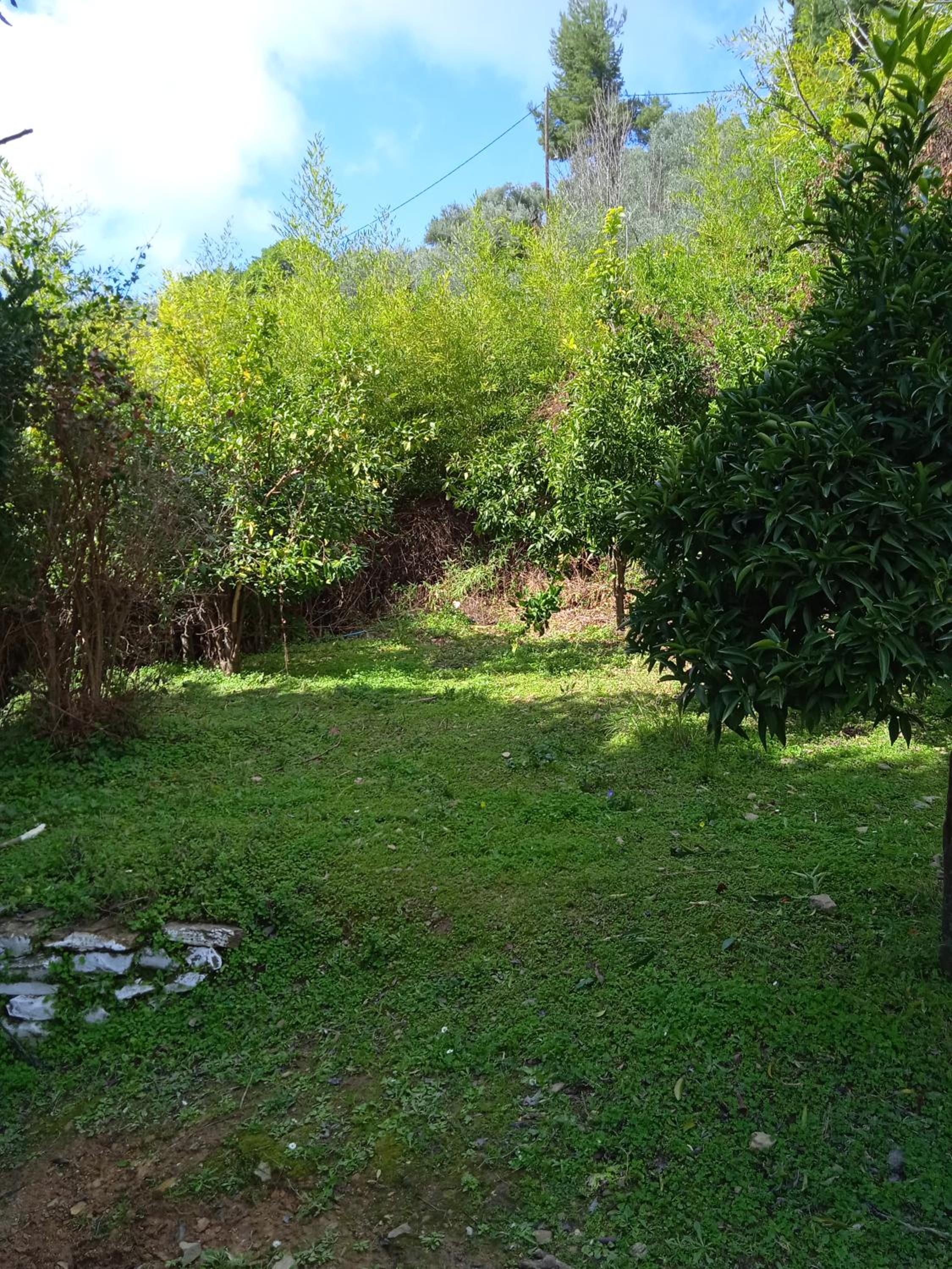 Casa de la Fuente view 4