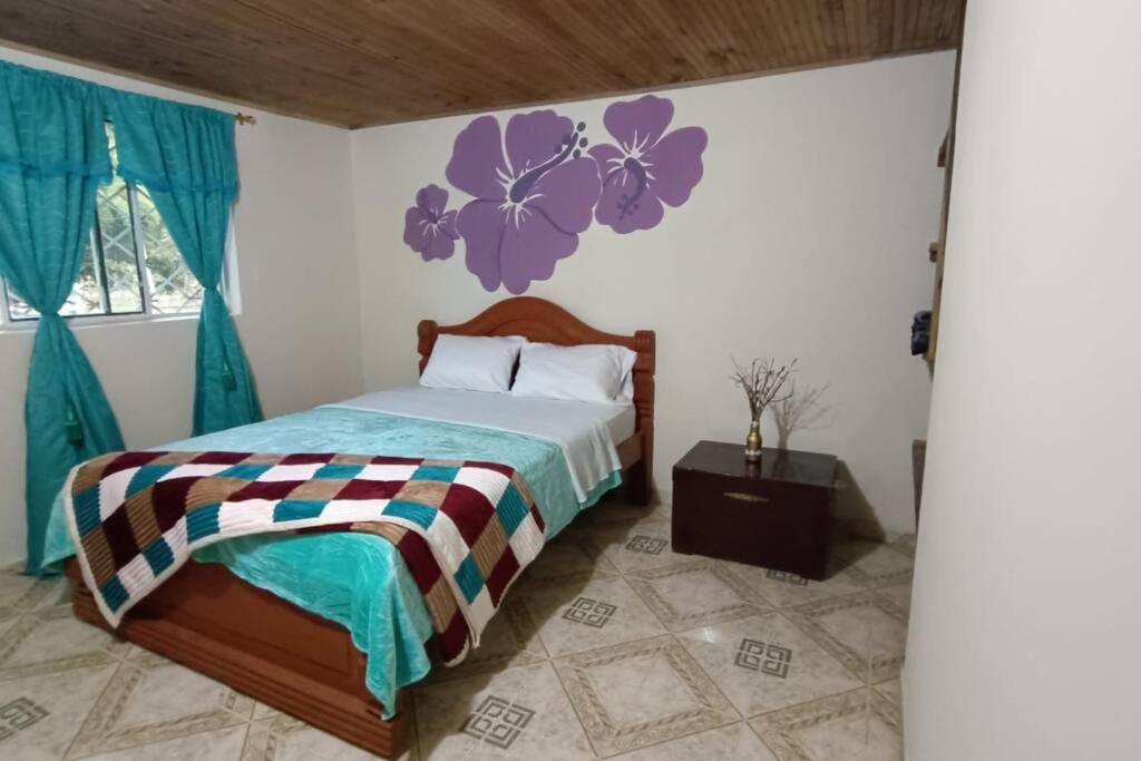 Casa Rio de Cristal