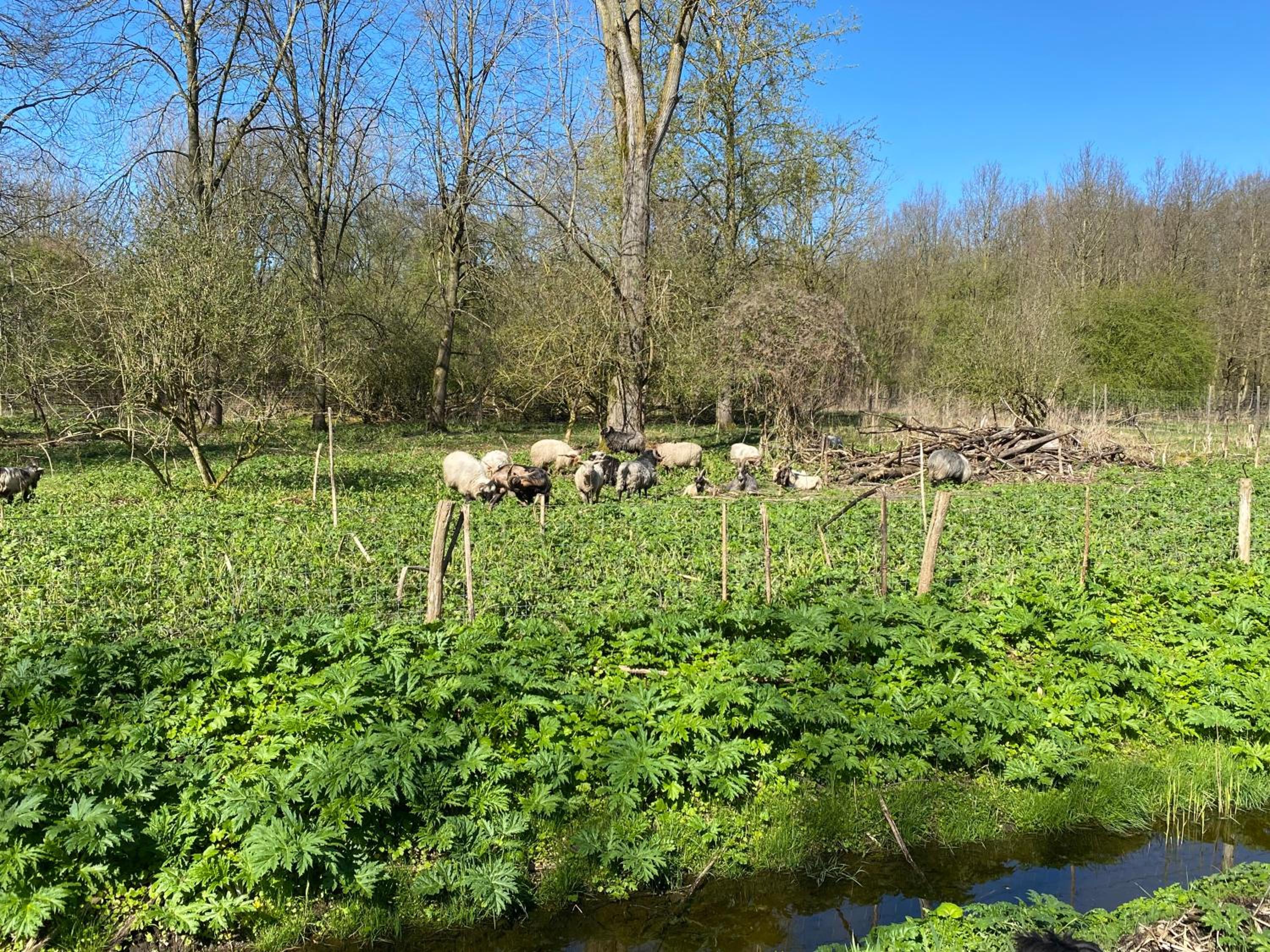 Ecolodge Almere