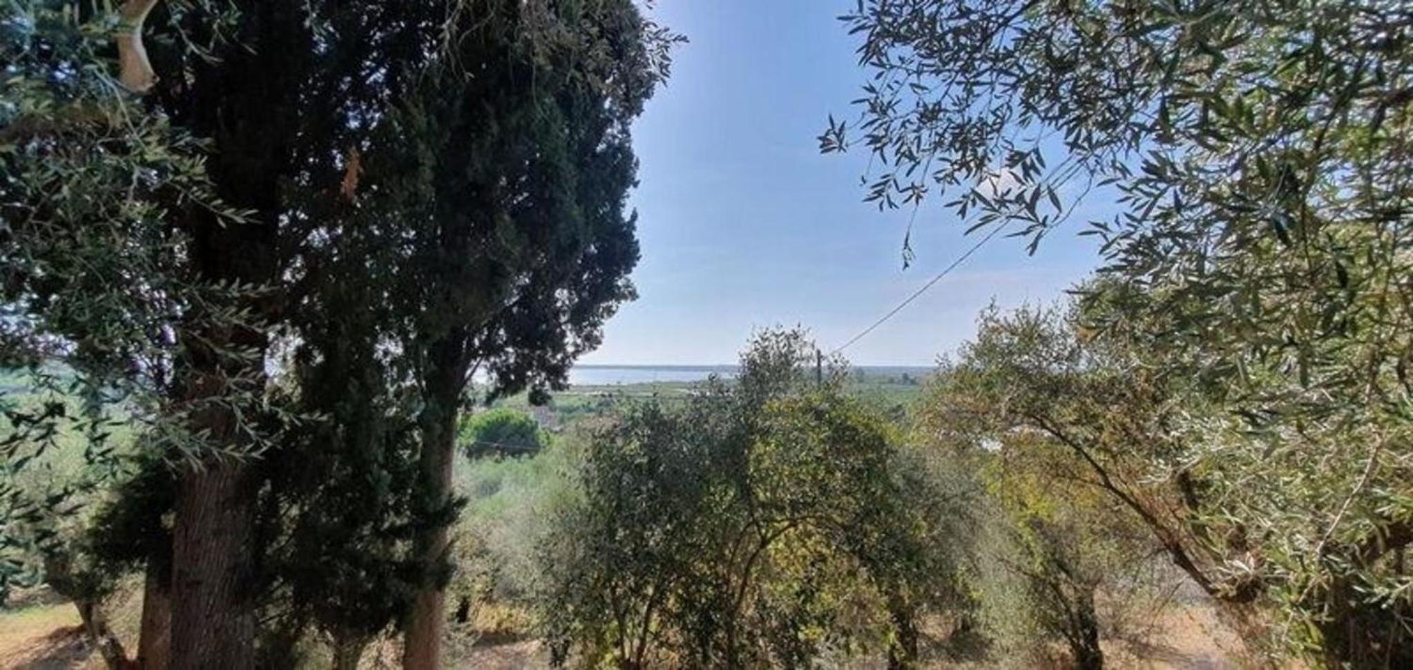 Ferienhaus für 4 Personen ca 80 qm in Massarosa, Toskana Provinz Lucca view 2