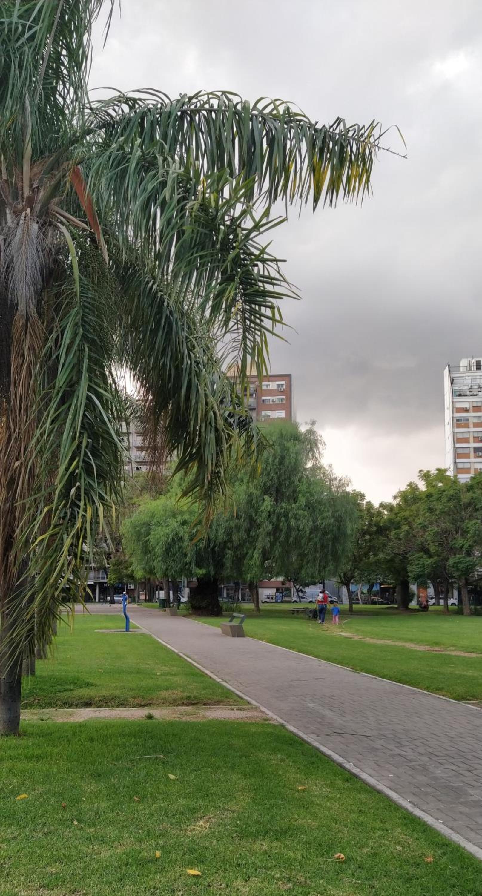 Depto 2 ambientes Chacarita Pque Los Andes - Movistar Arena