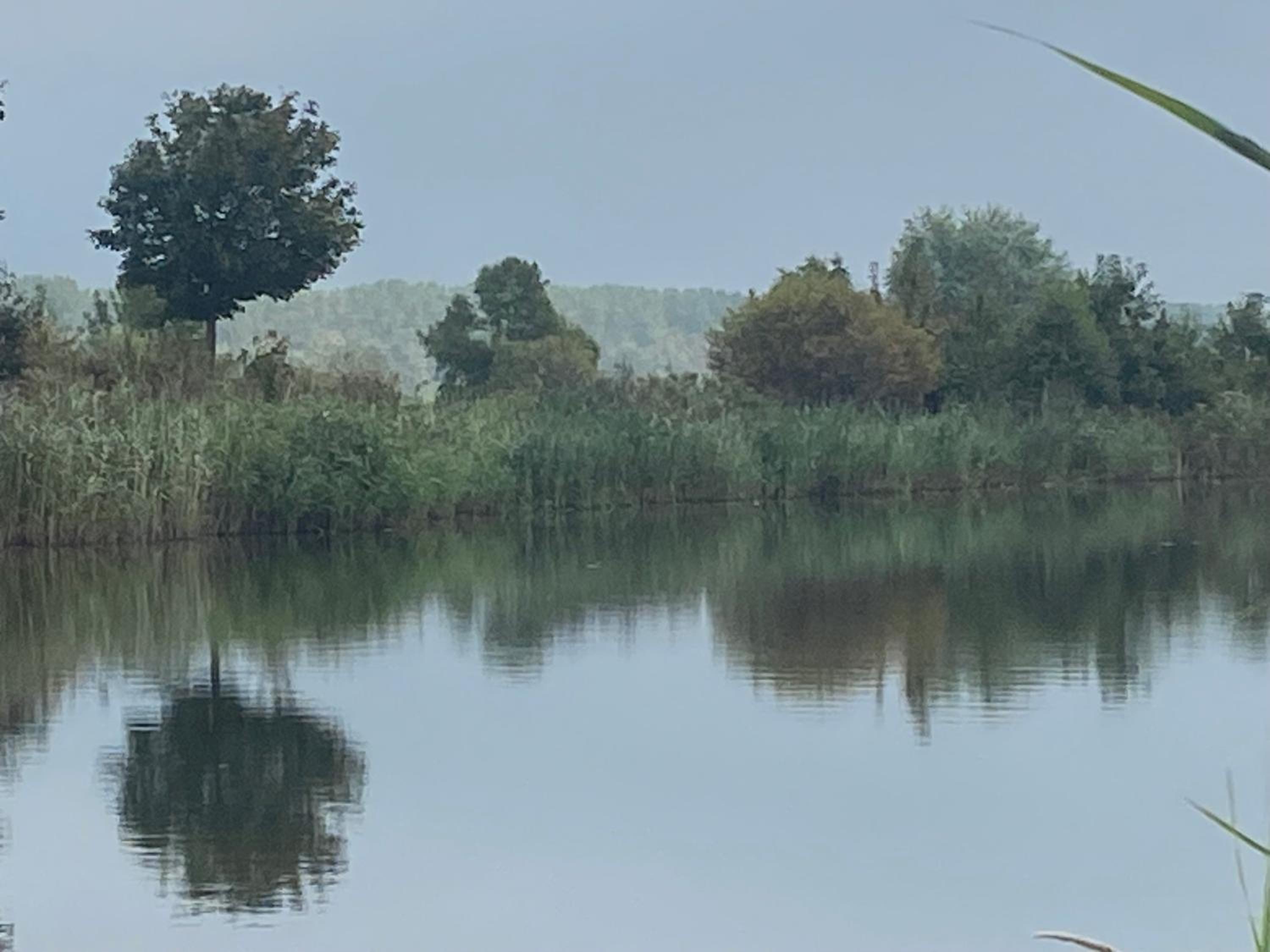 Ecolodge Almere