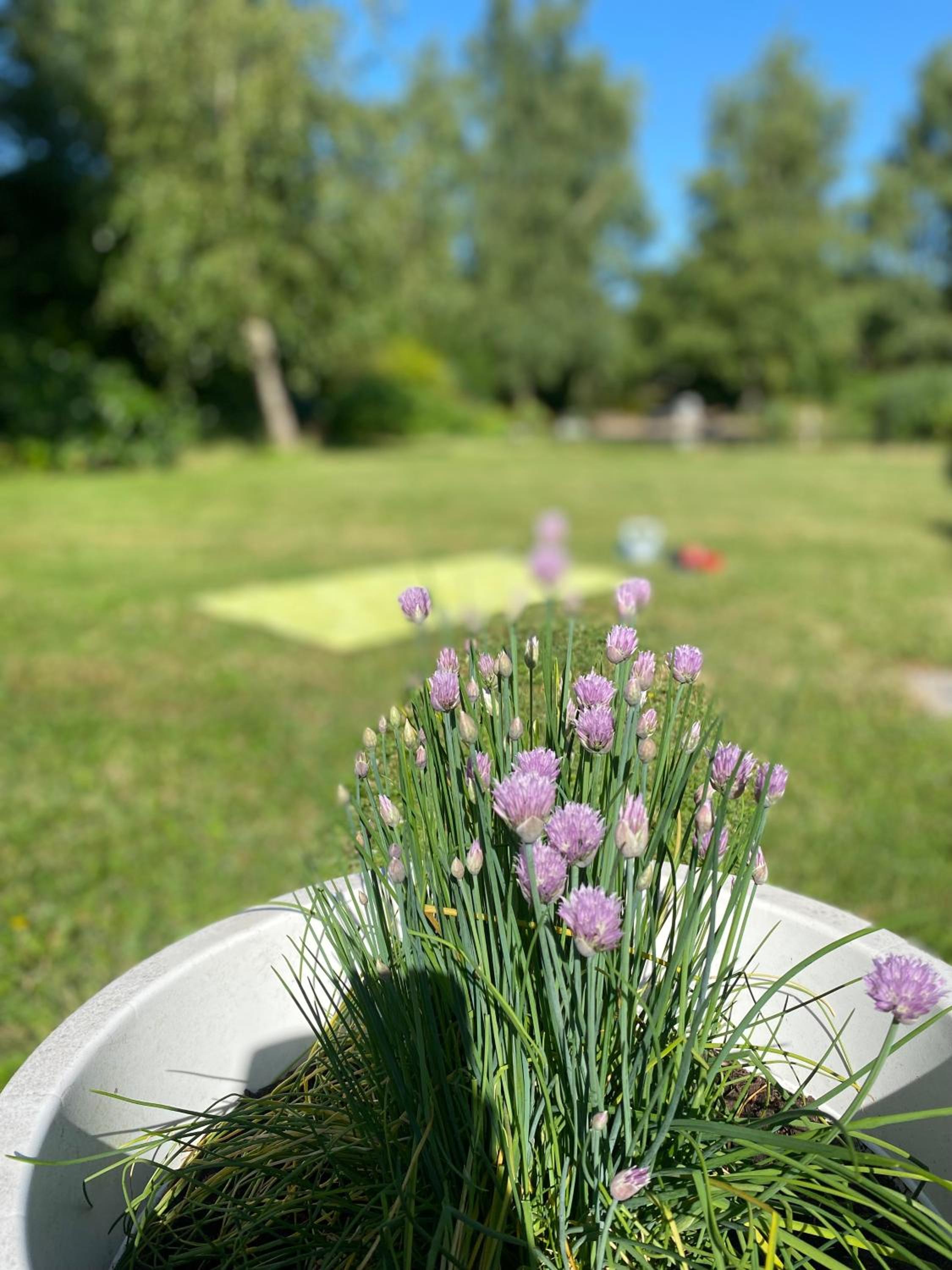 Ecolodge Almere