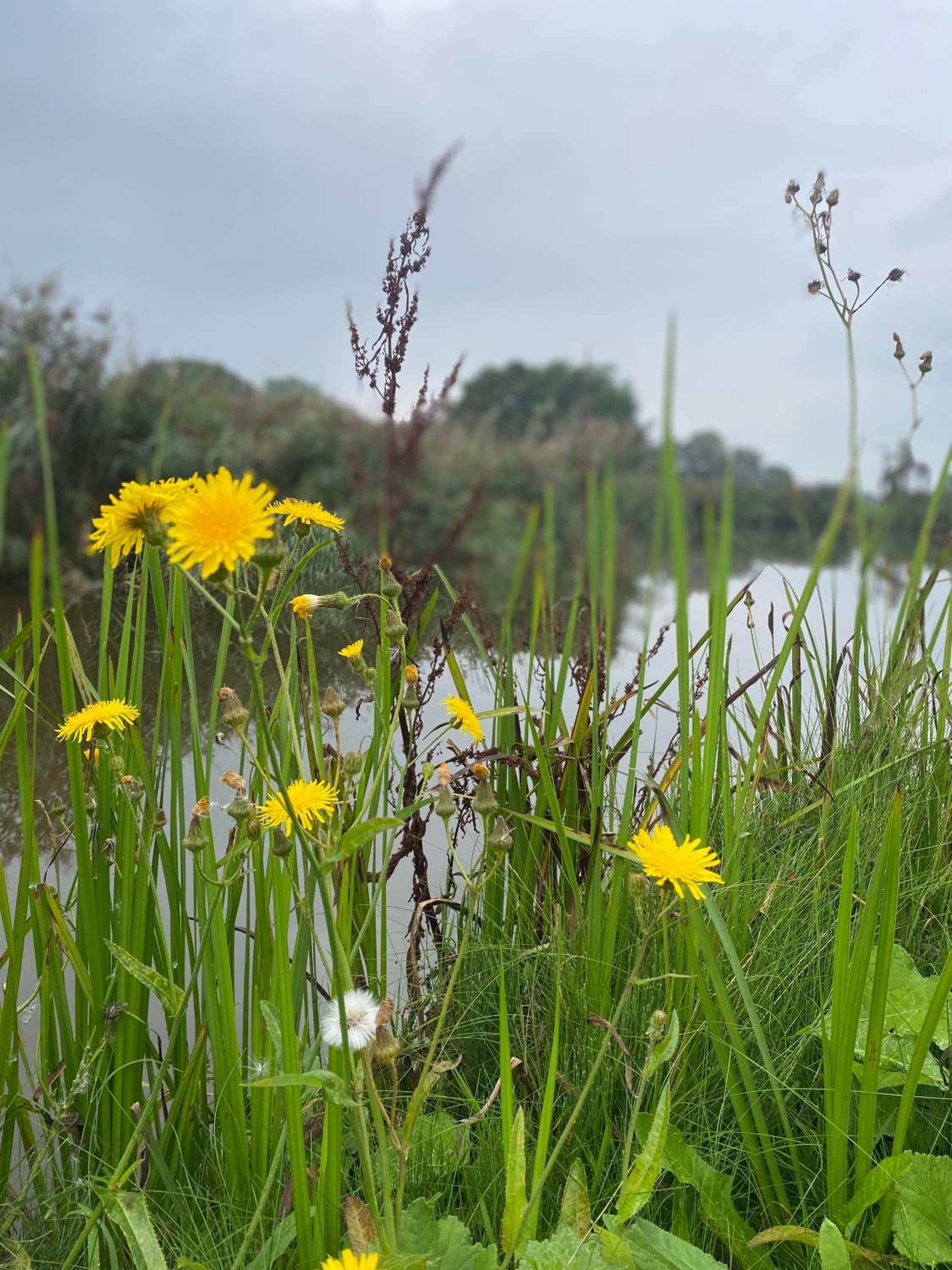 Ecolodge Almere