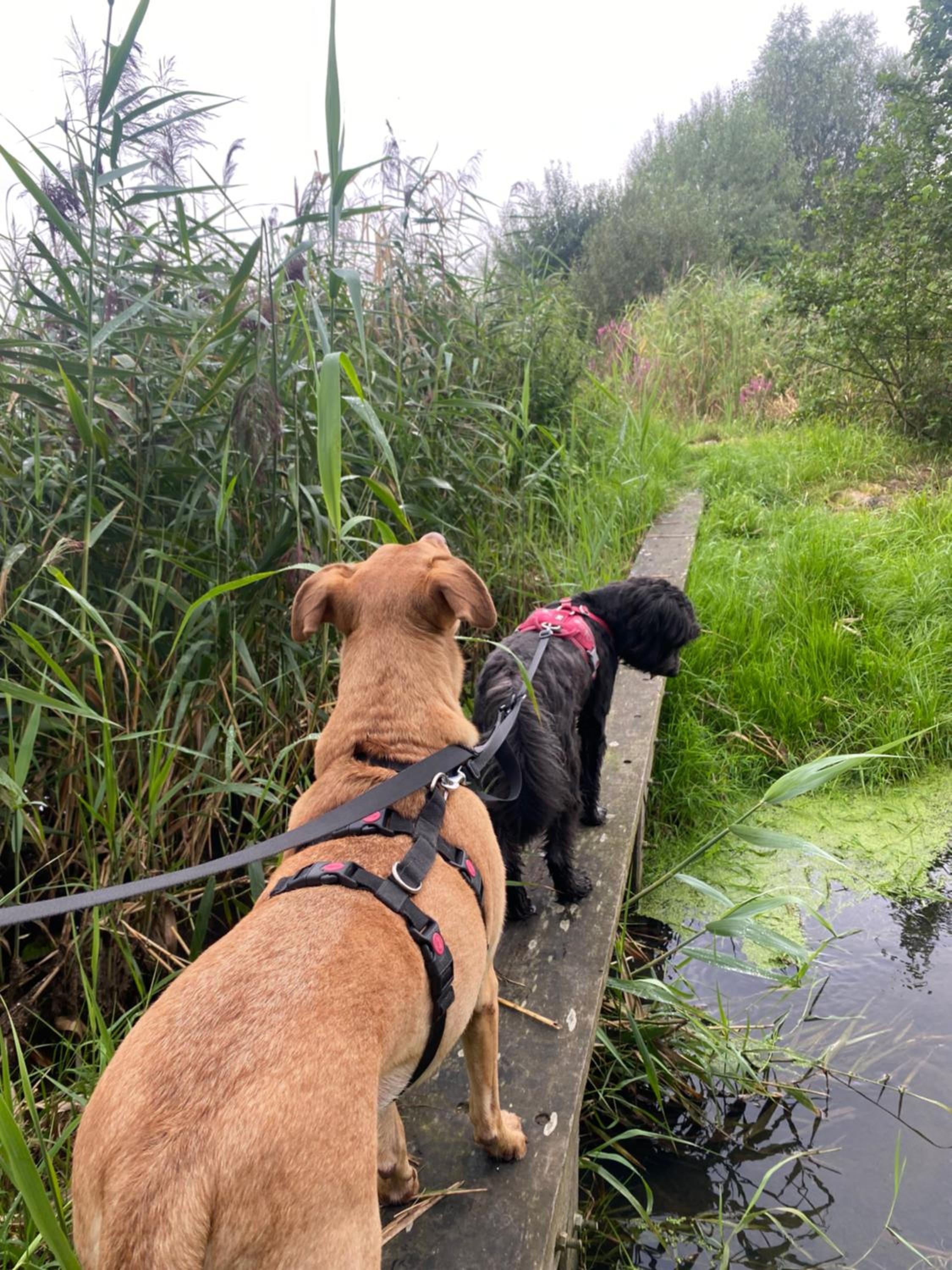Ecolodge Almere