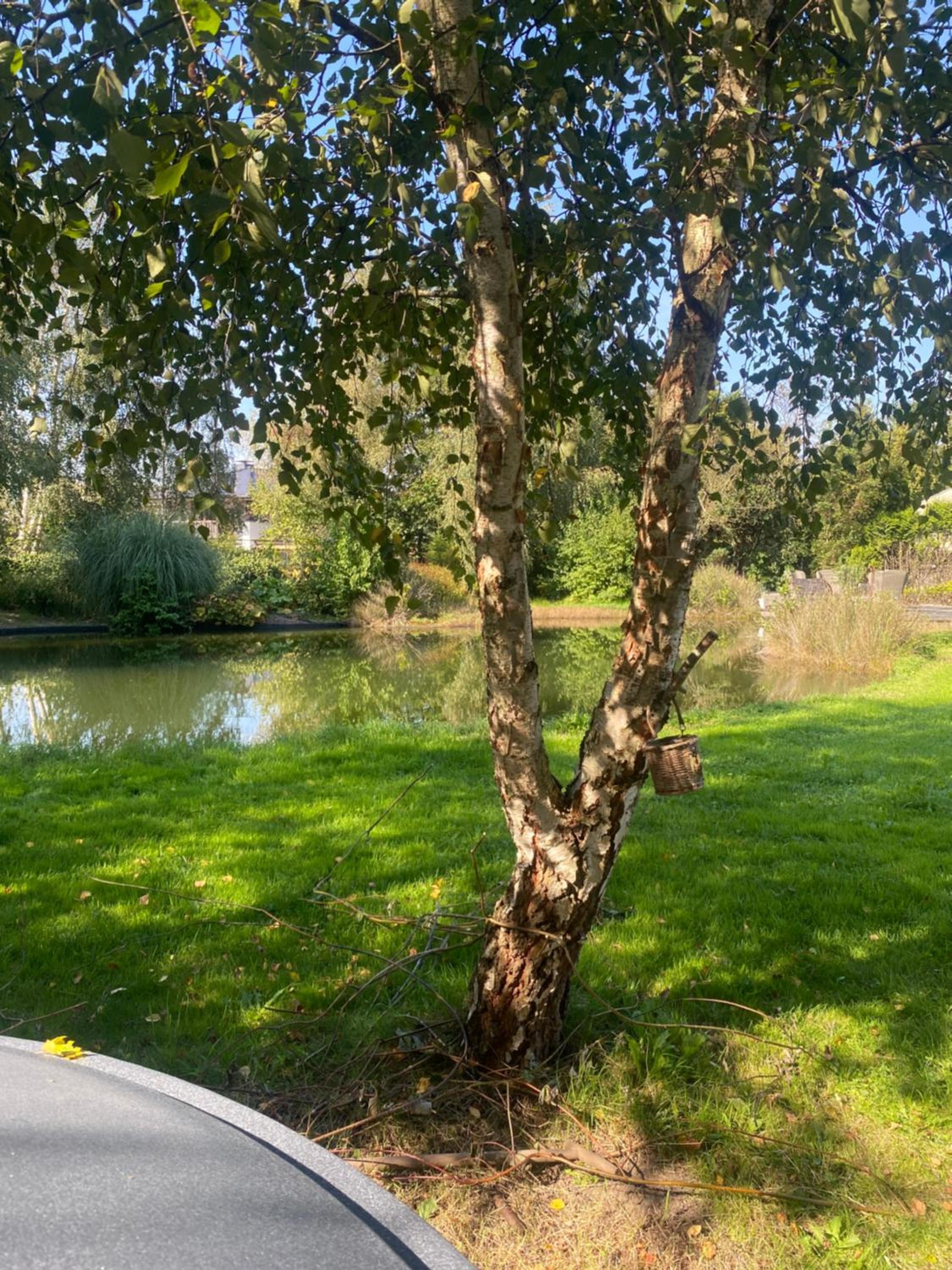 Ecolodge Almere