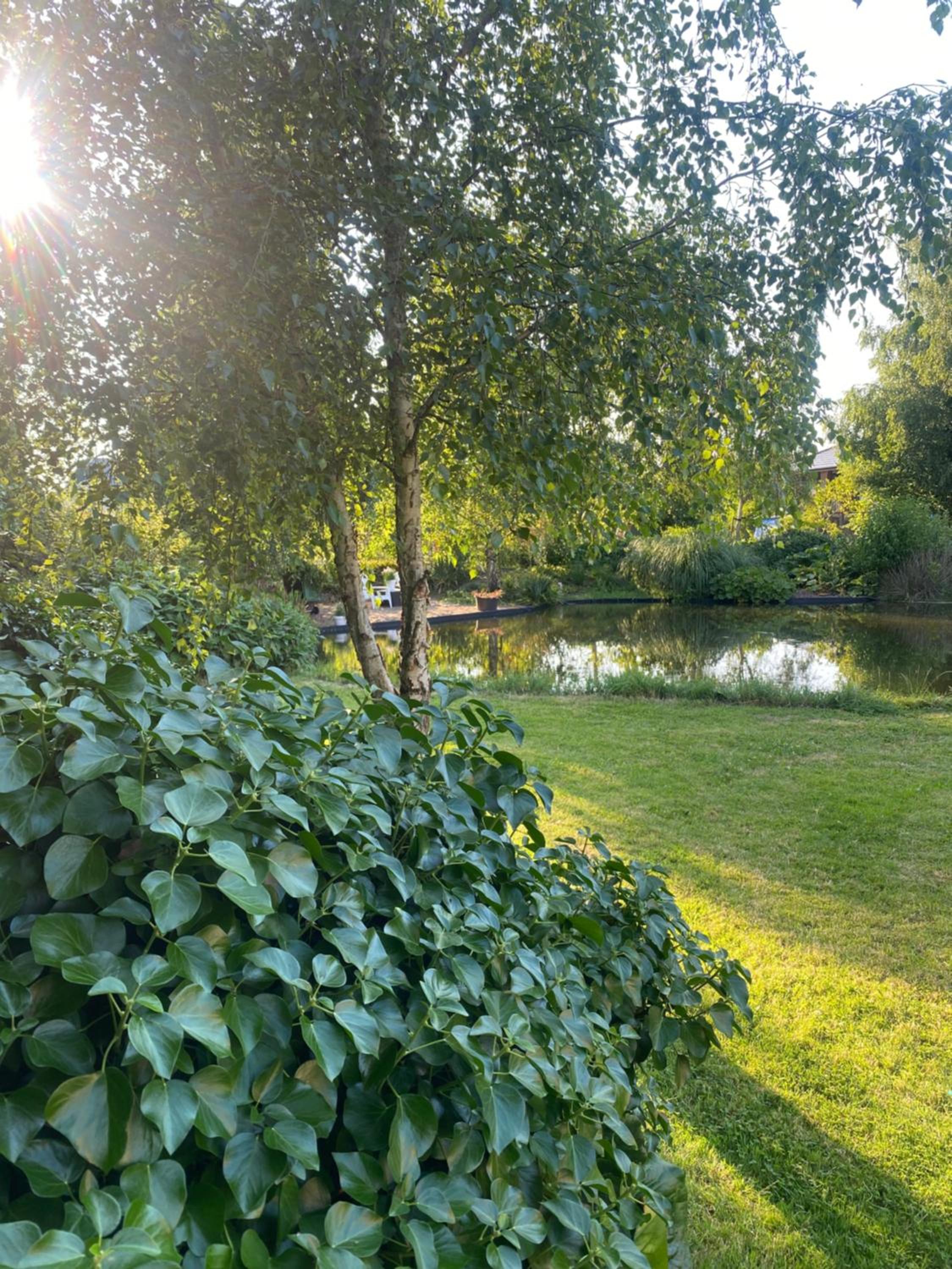 Ecolodge Almere