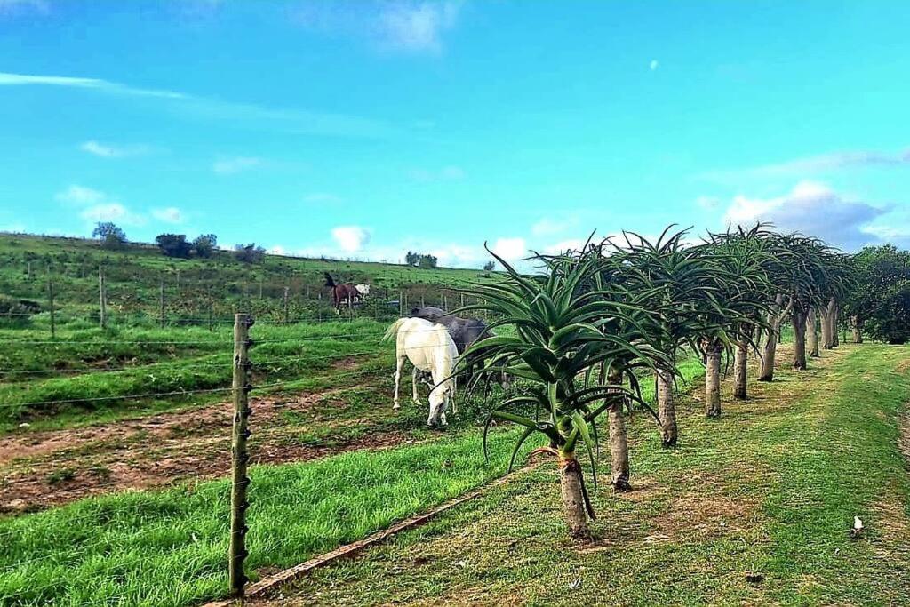The Farmstead view 4
