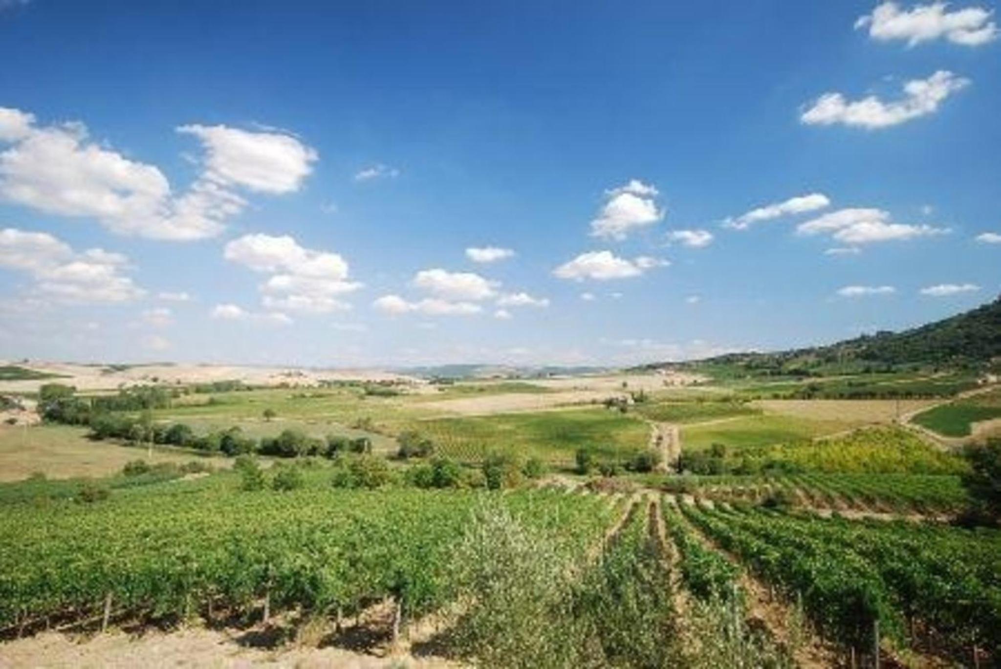 Ferienwohnung für 4 Personen ca 89 qm in Montalcino, Toskana Provinz Siena view 2