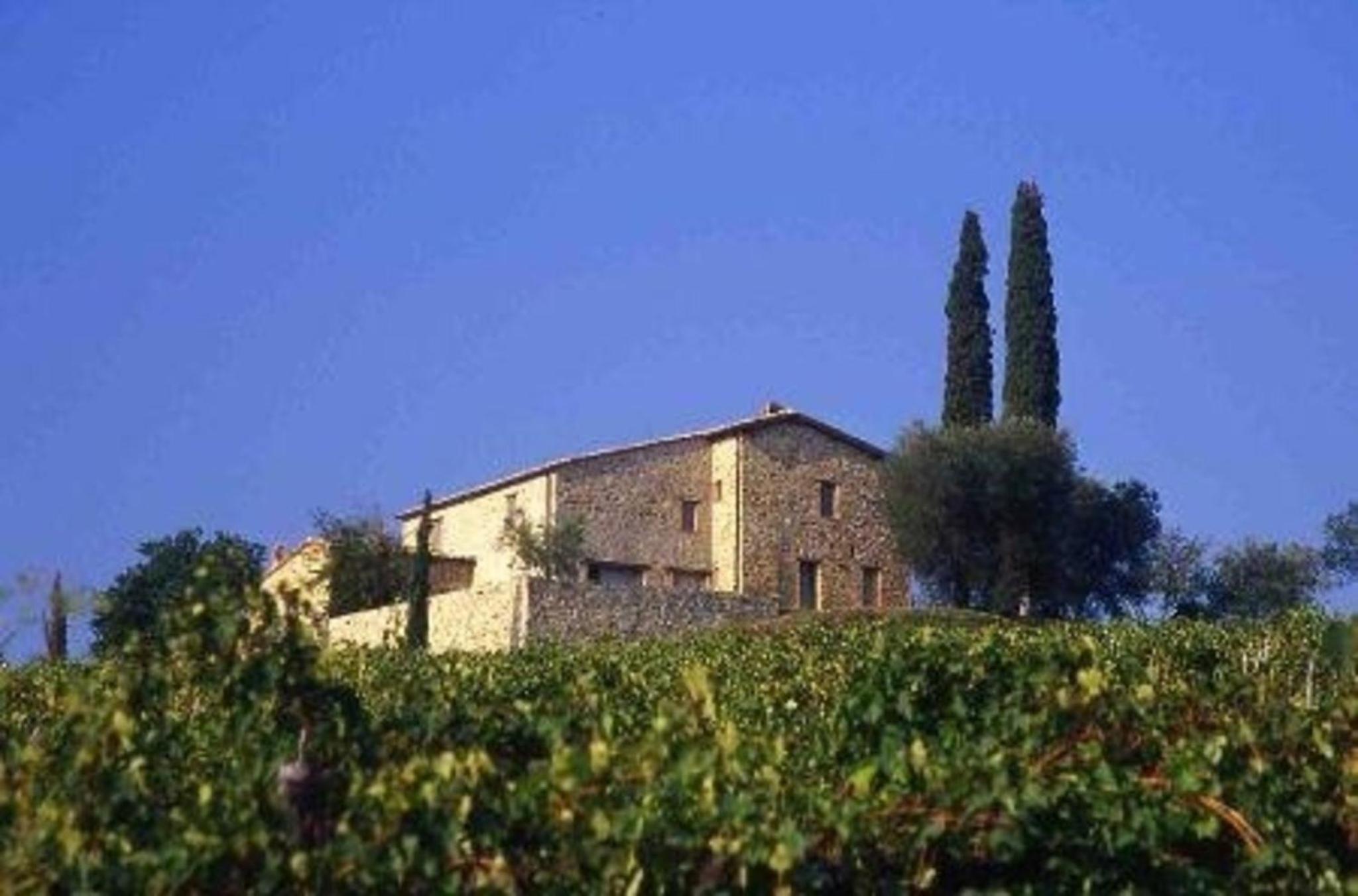 Ferienwohnung für 4 Personen ca 89 qm in Montalcino, Toskana Provinz Siena view 4