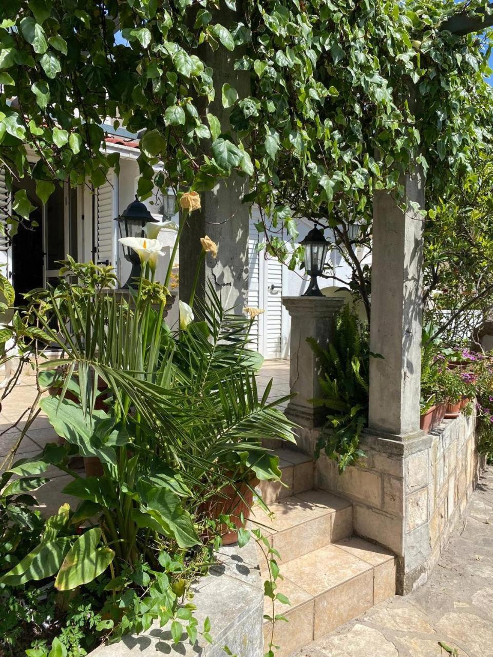 Apartmani Nedic