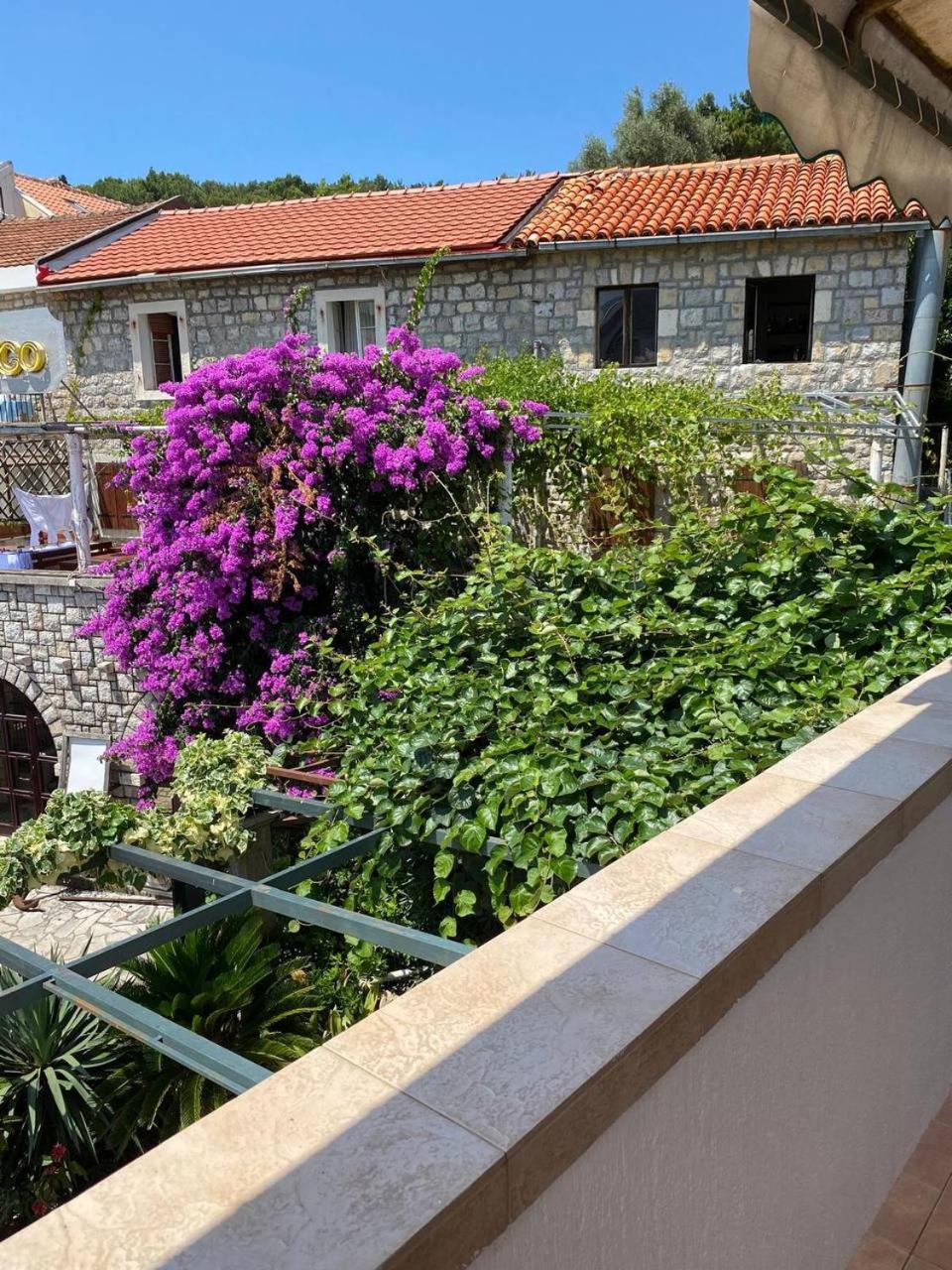 Apartmani Nedic