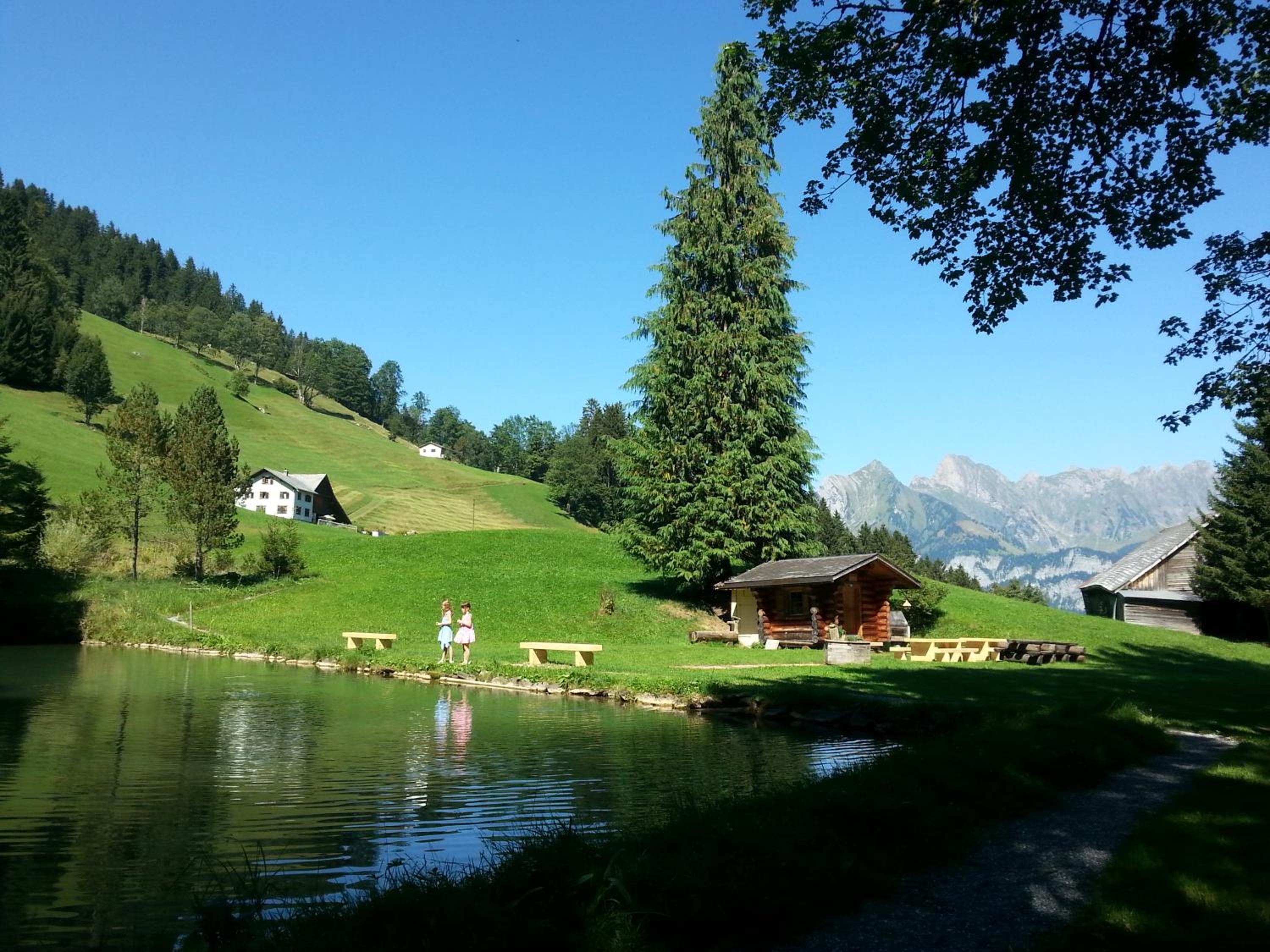 Photo 11