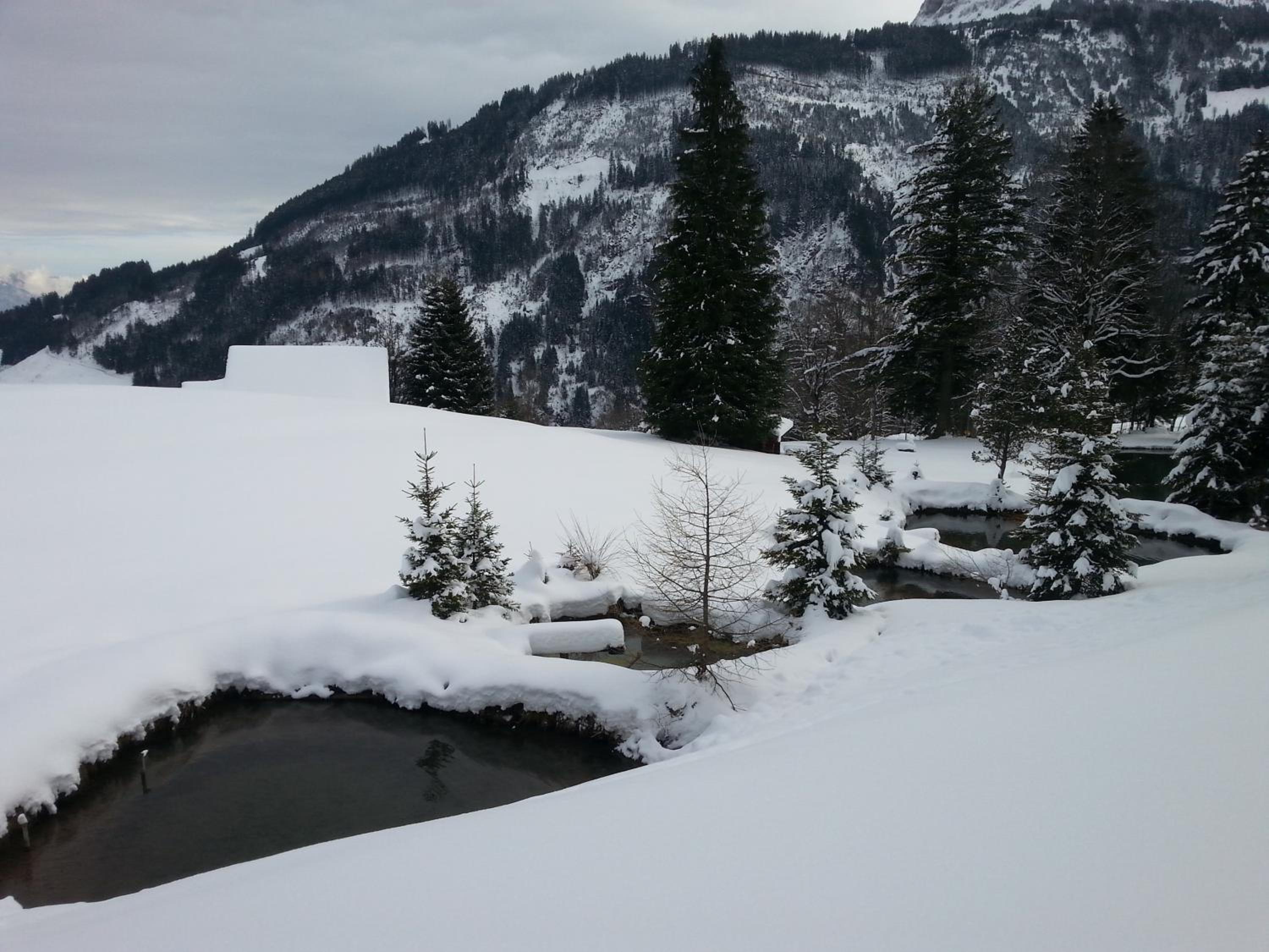 Schwendihof view 5