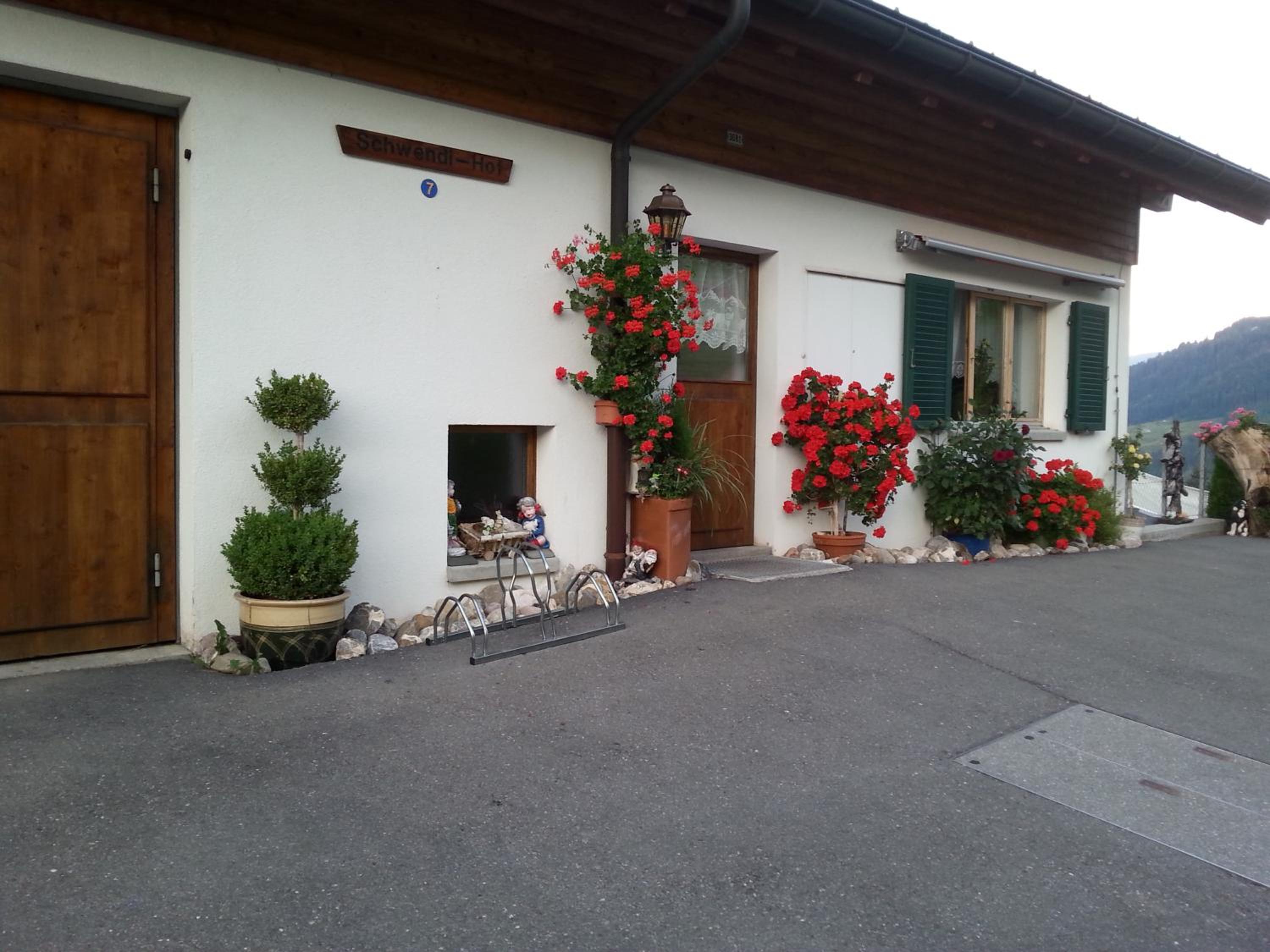 Photo 6