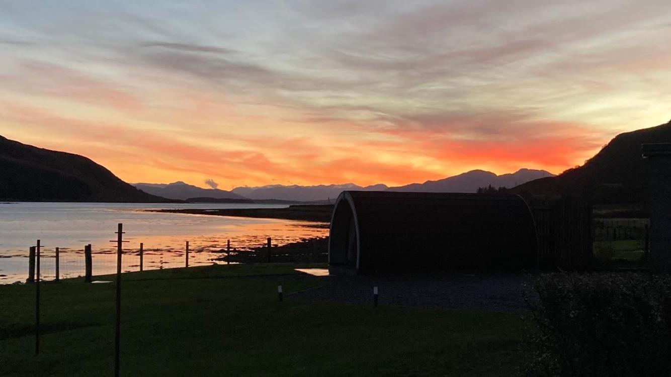 Sunset POD