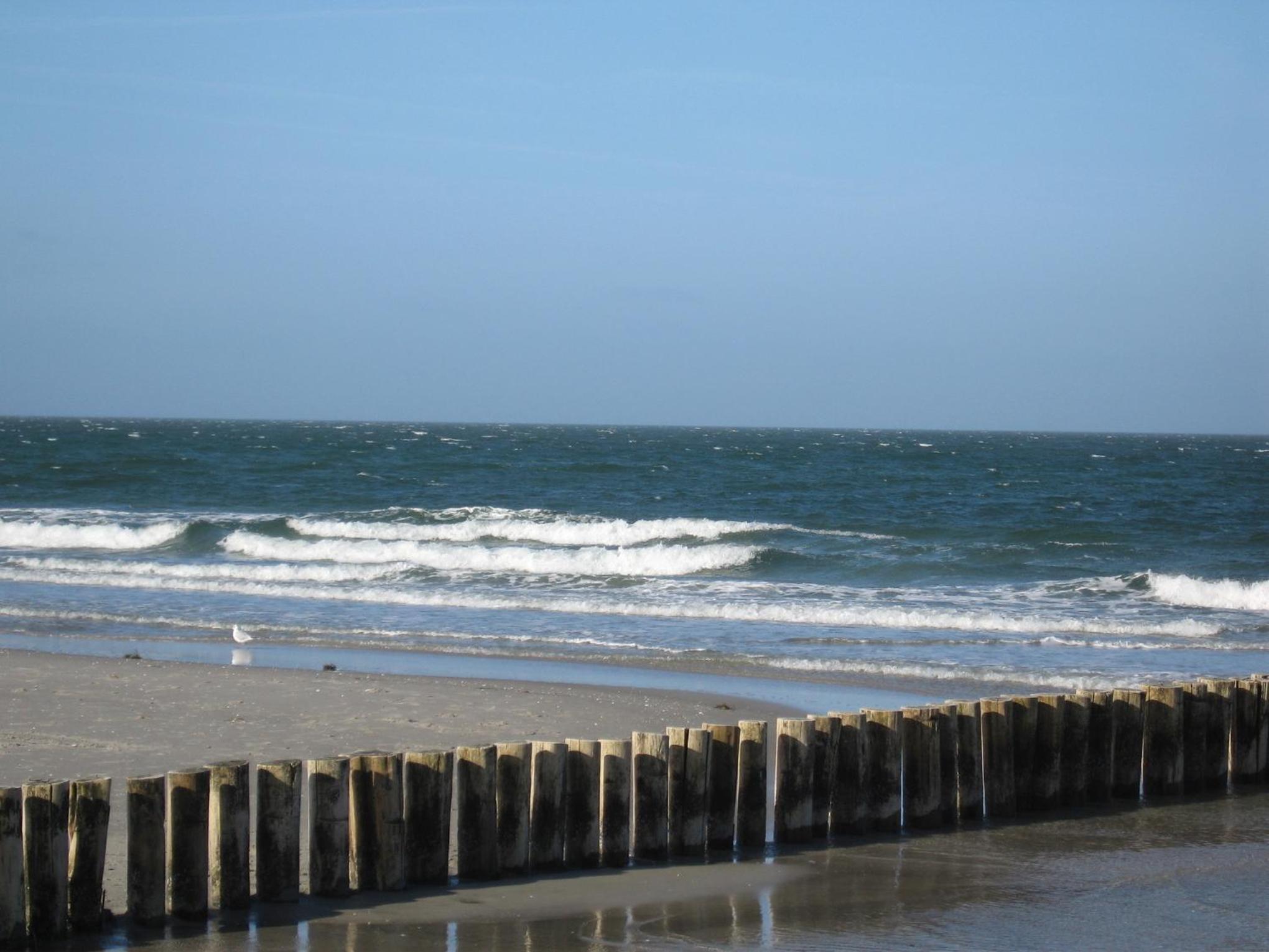 Ferienhaus mit Sauna b en Zingst
