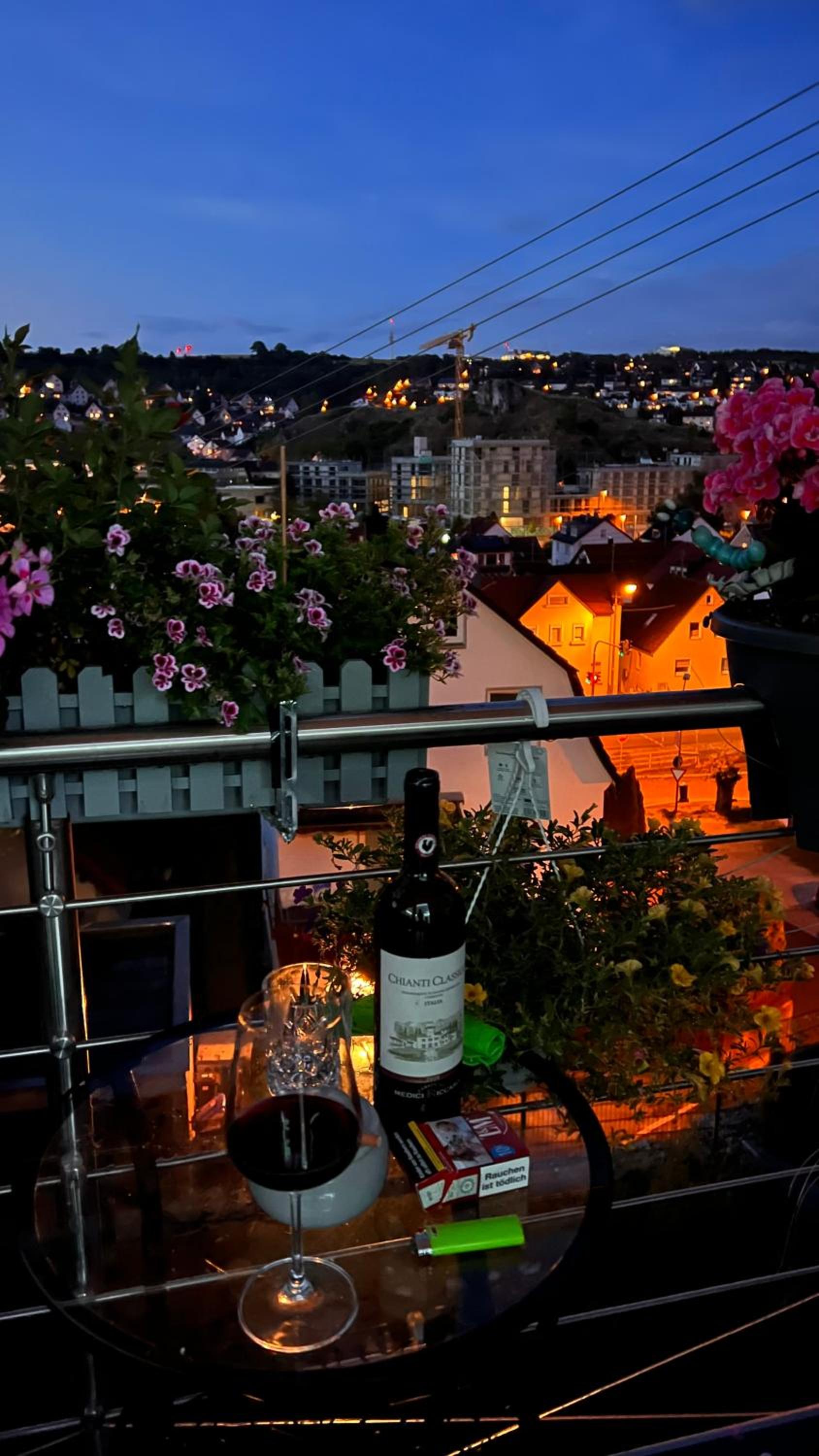 T&T Panorama Apartment