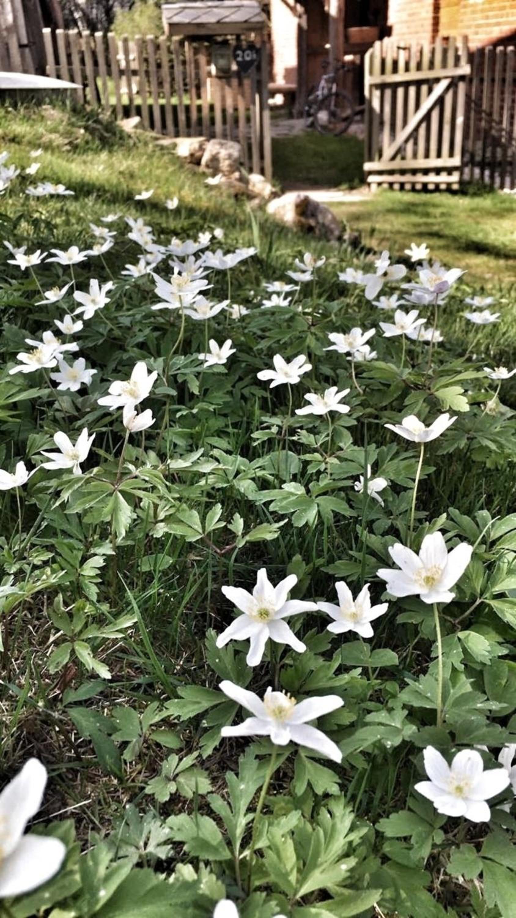 Landhaus Vogtland