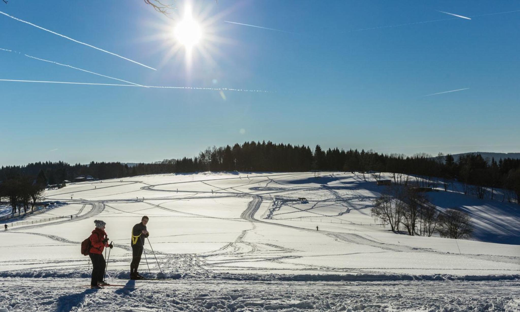 Berghütte Vogtland
