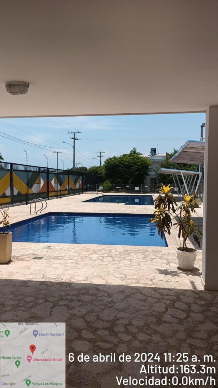 CJC Brasil