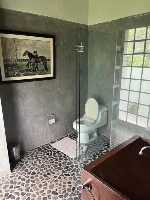 casa de campo los helechos