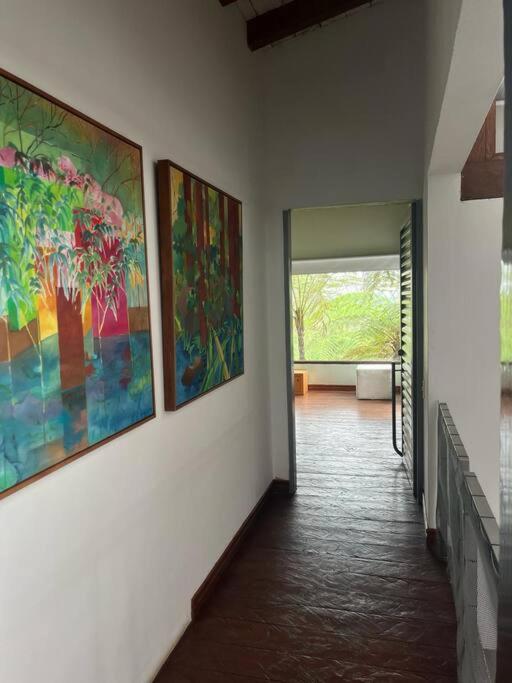 casa de campo los helechos