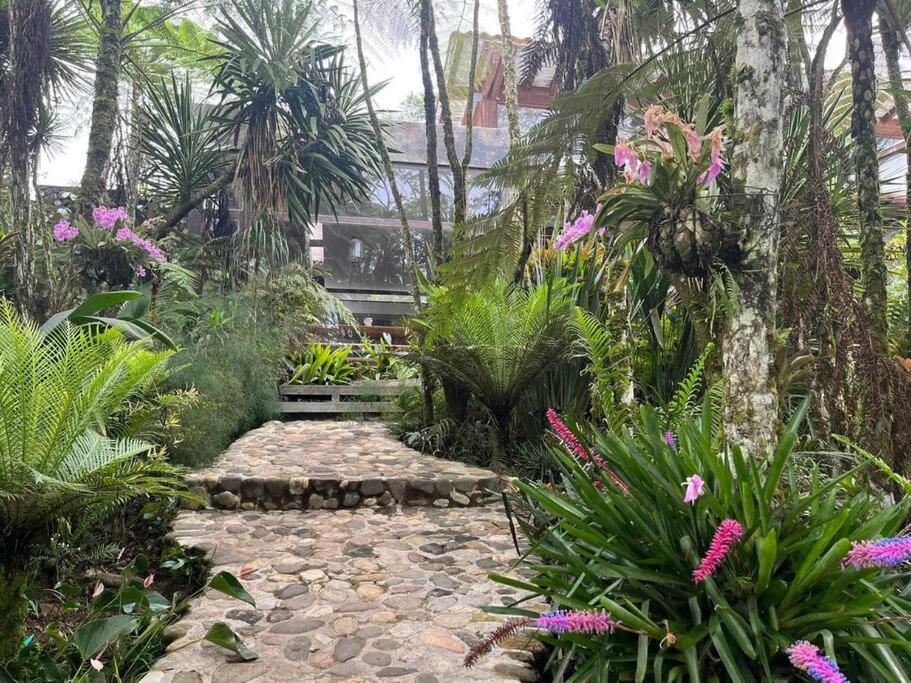 casa de campo los helechos