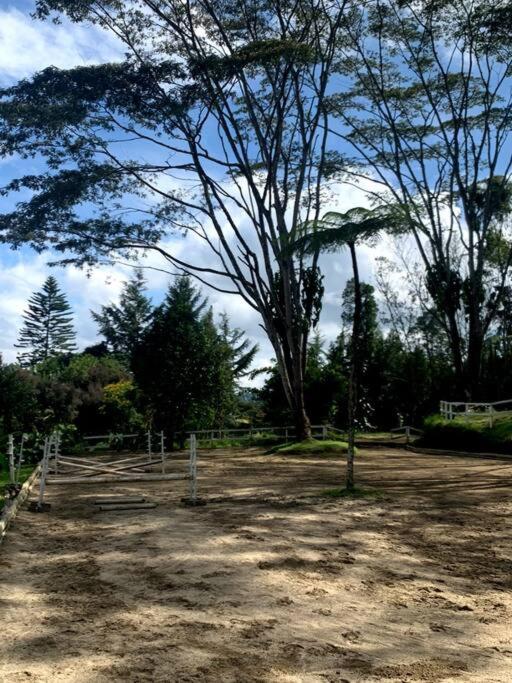 casa de campo los helechos