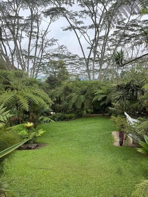 casa de campo los helechos