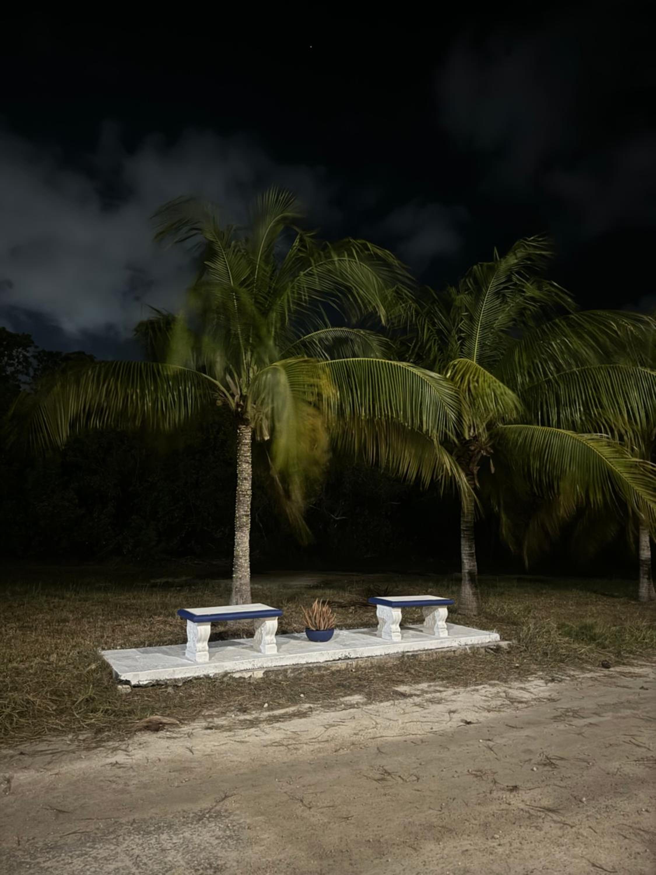 Caribbean Queen