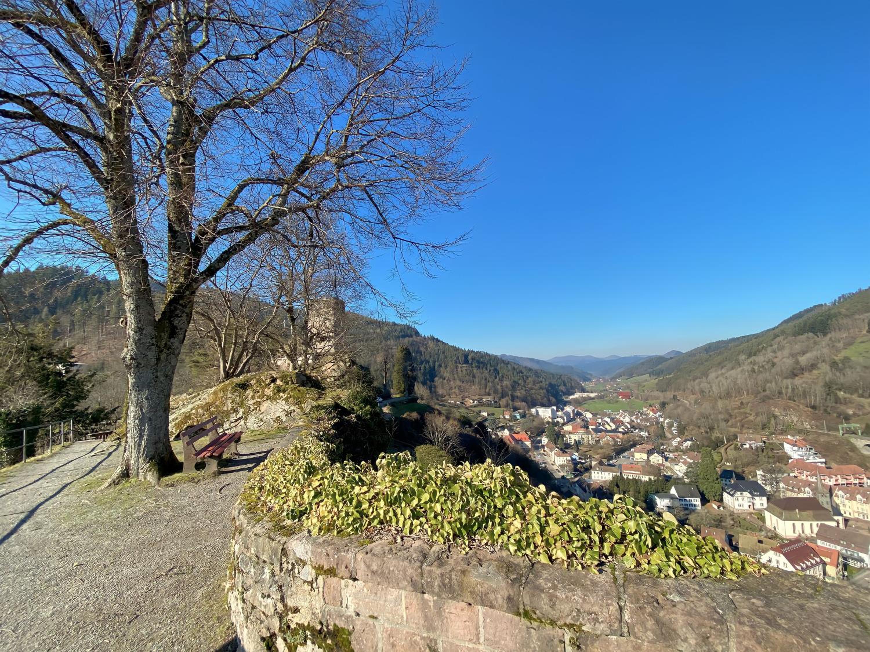 Ferienwohnung im Grünen