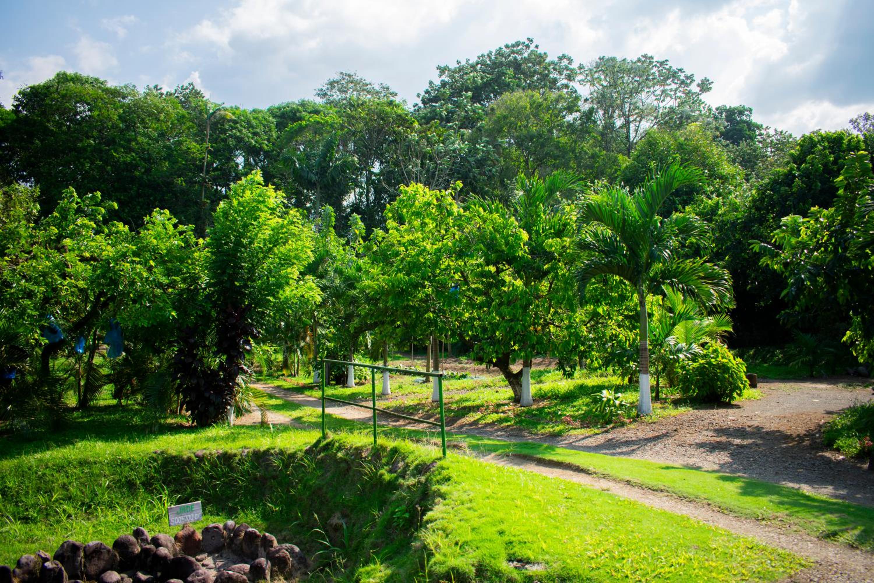 Arenal Descanso