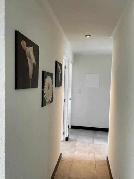 Apartamento cómodo y exclusivo