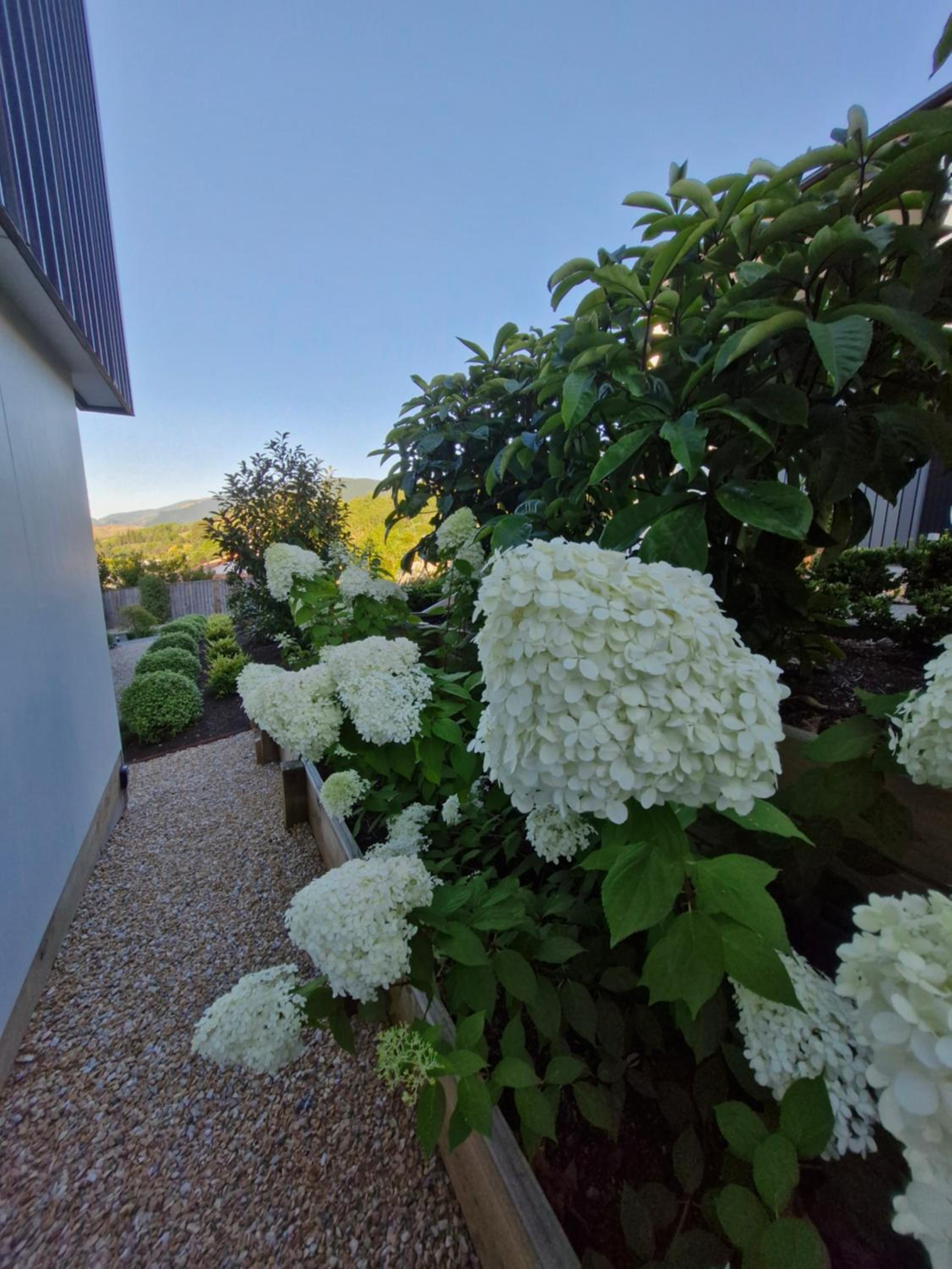 View on Kihilla, photo 18